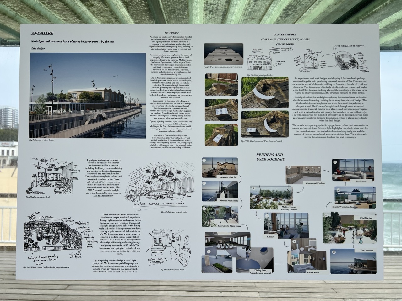 Juhi's poster, explaining Anemiare with sketches, photos and renders of the space.