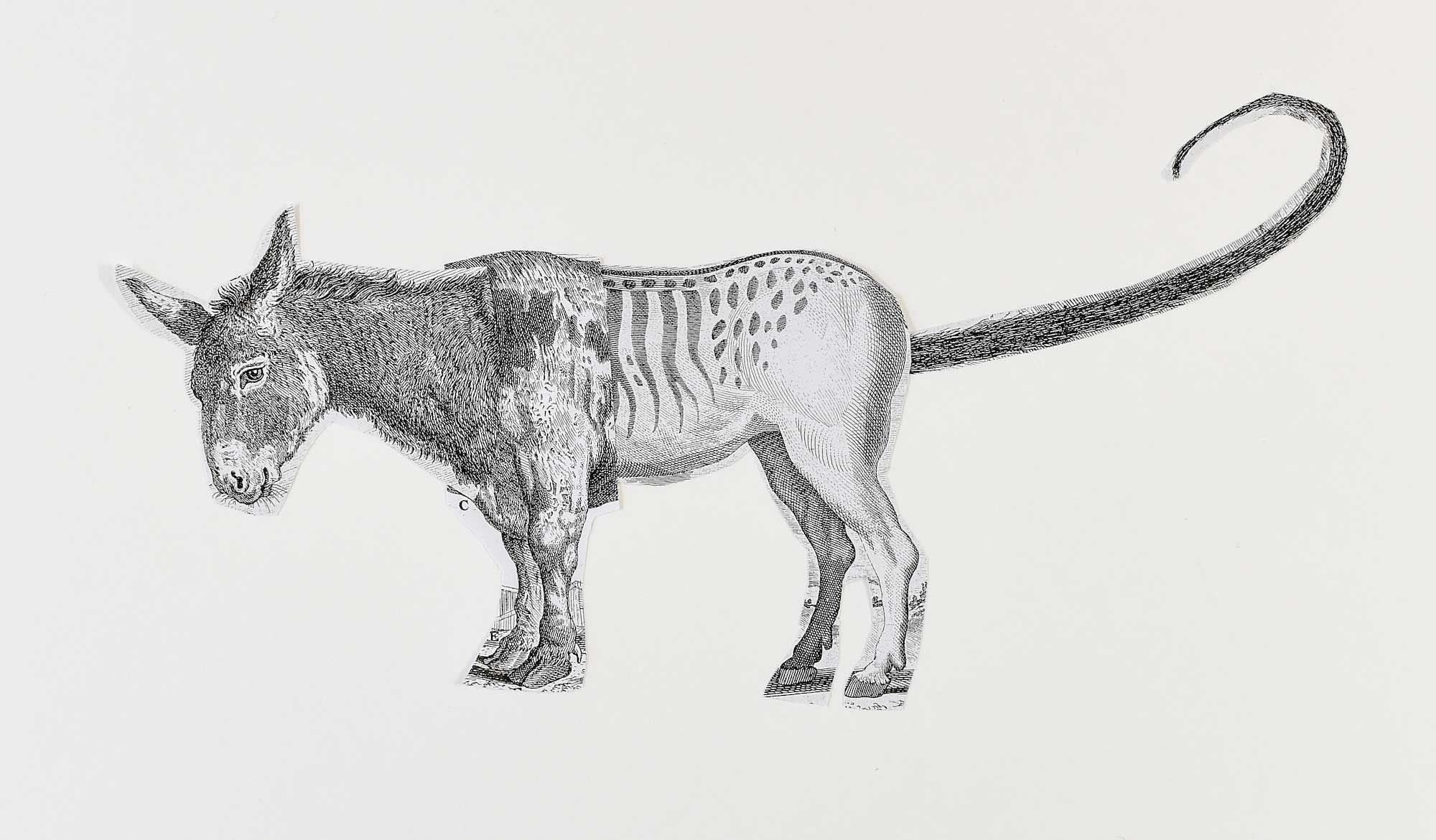 Iford Academy student pencil drawing depicting a creature with a donkey head and tasmanian tiger body and tail