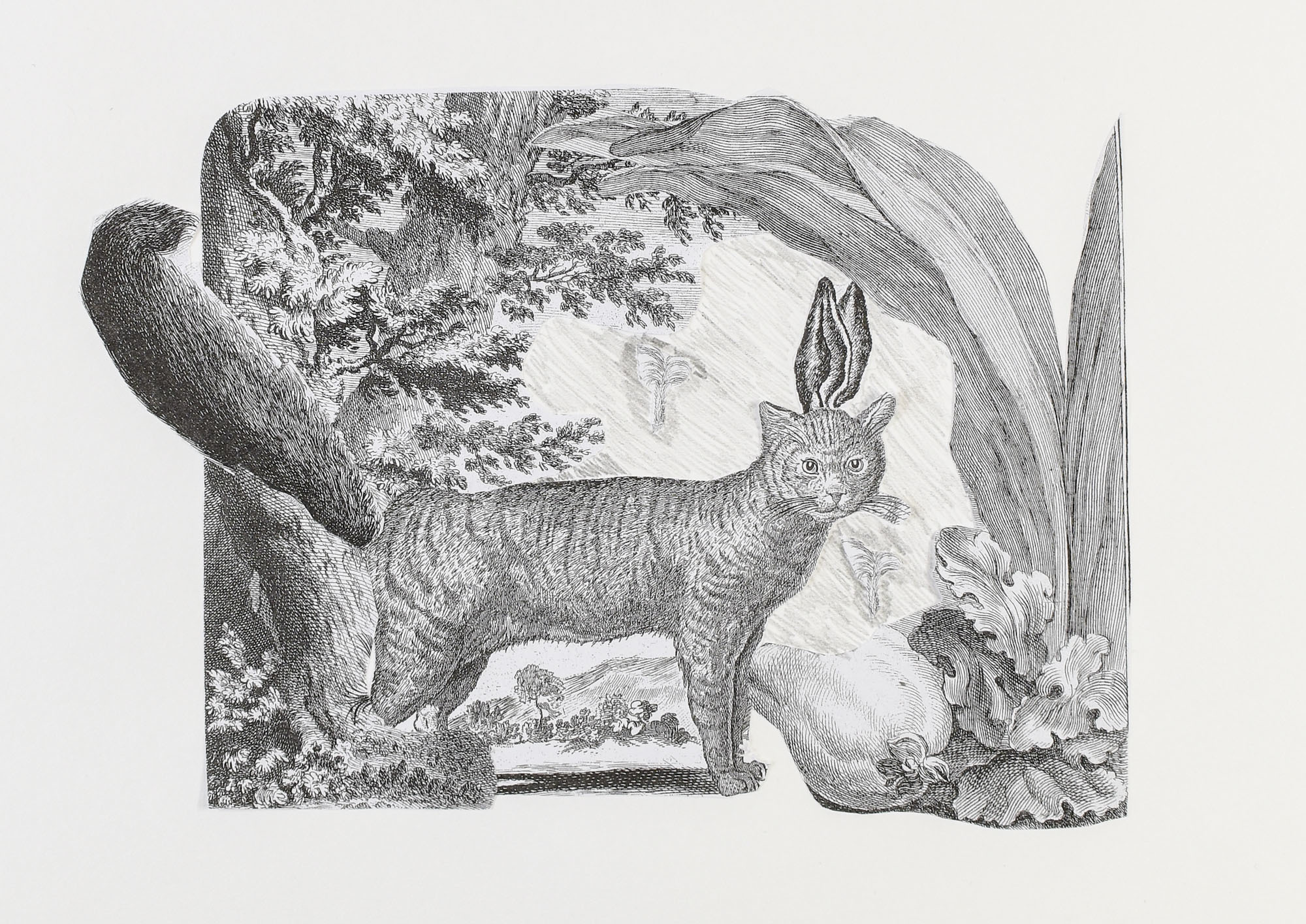 A student pencil drawing of a creature with a cat head and body with rabbit ears and a squirrel tail in a forest