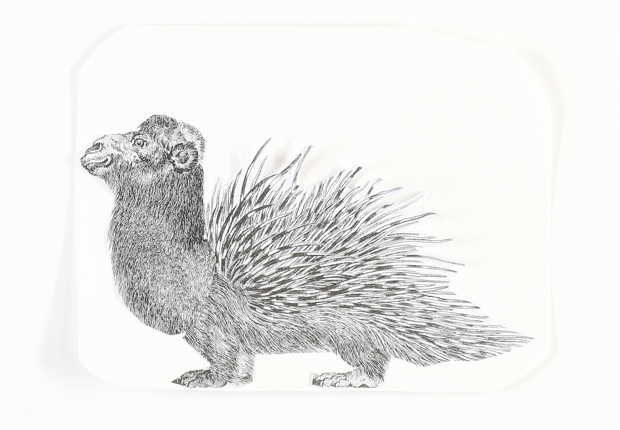 A student pencil image of a porcupine with a camel head
