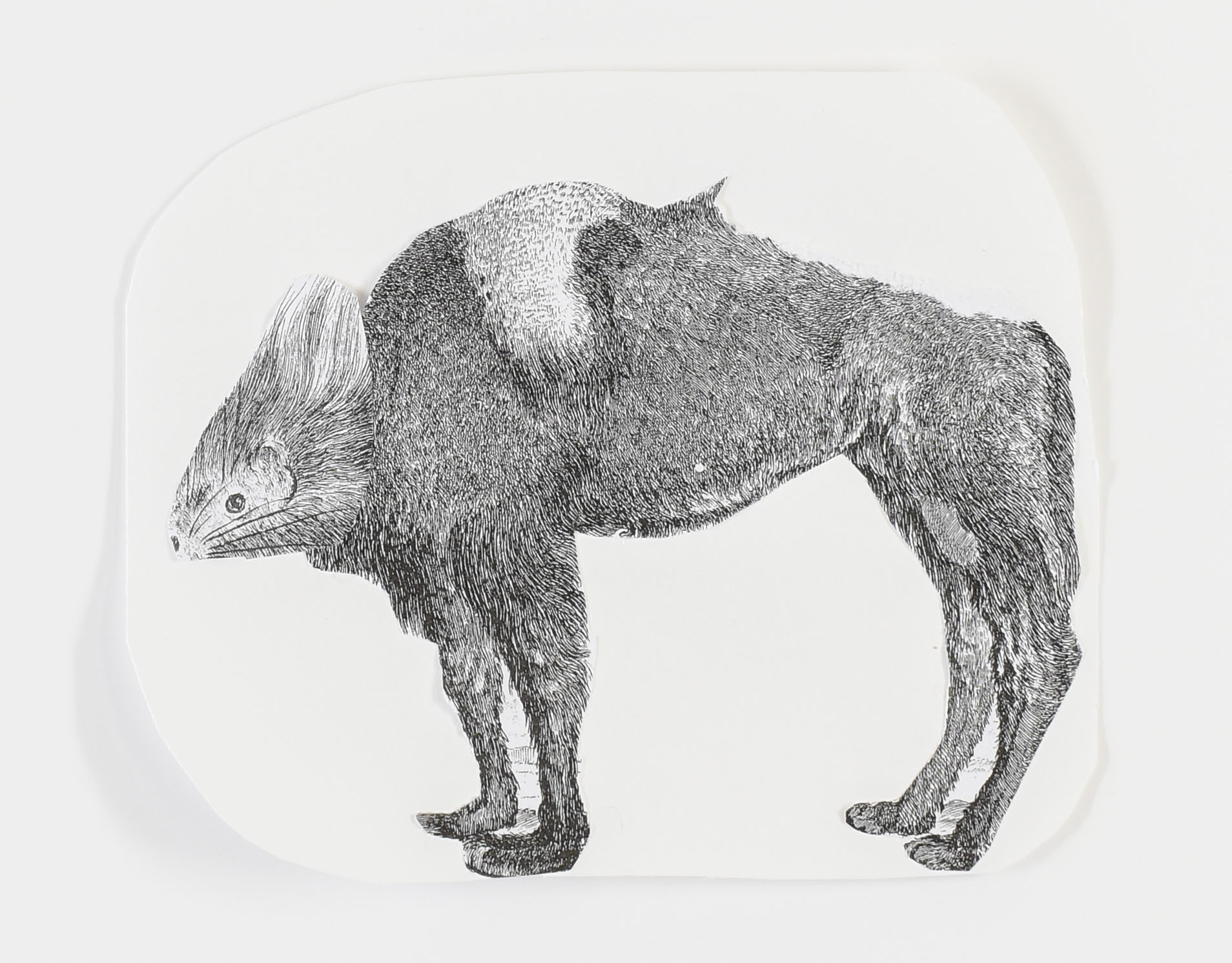 A student pencil drawing of a camel with a mouse head