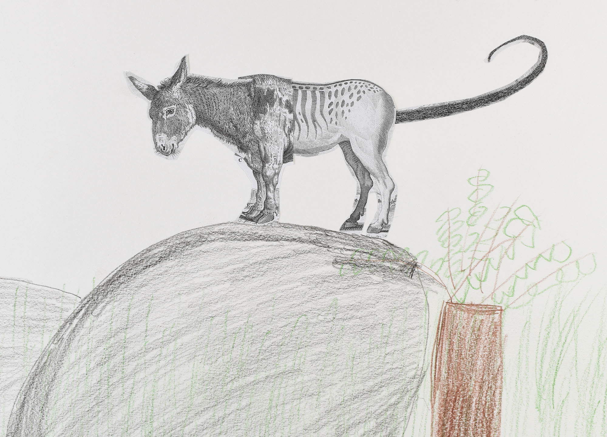 Iford Academy student pencil drawing depicting a creature with a donkey head and tasmanian tiger body and tail standing on a grey mound