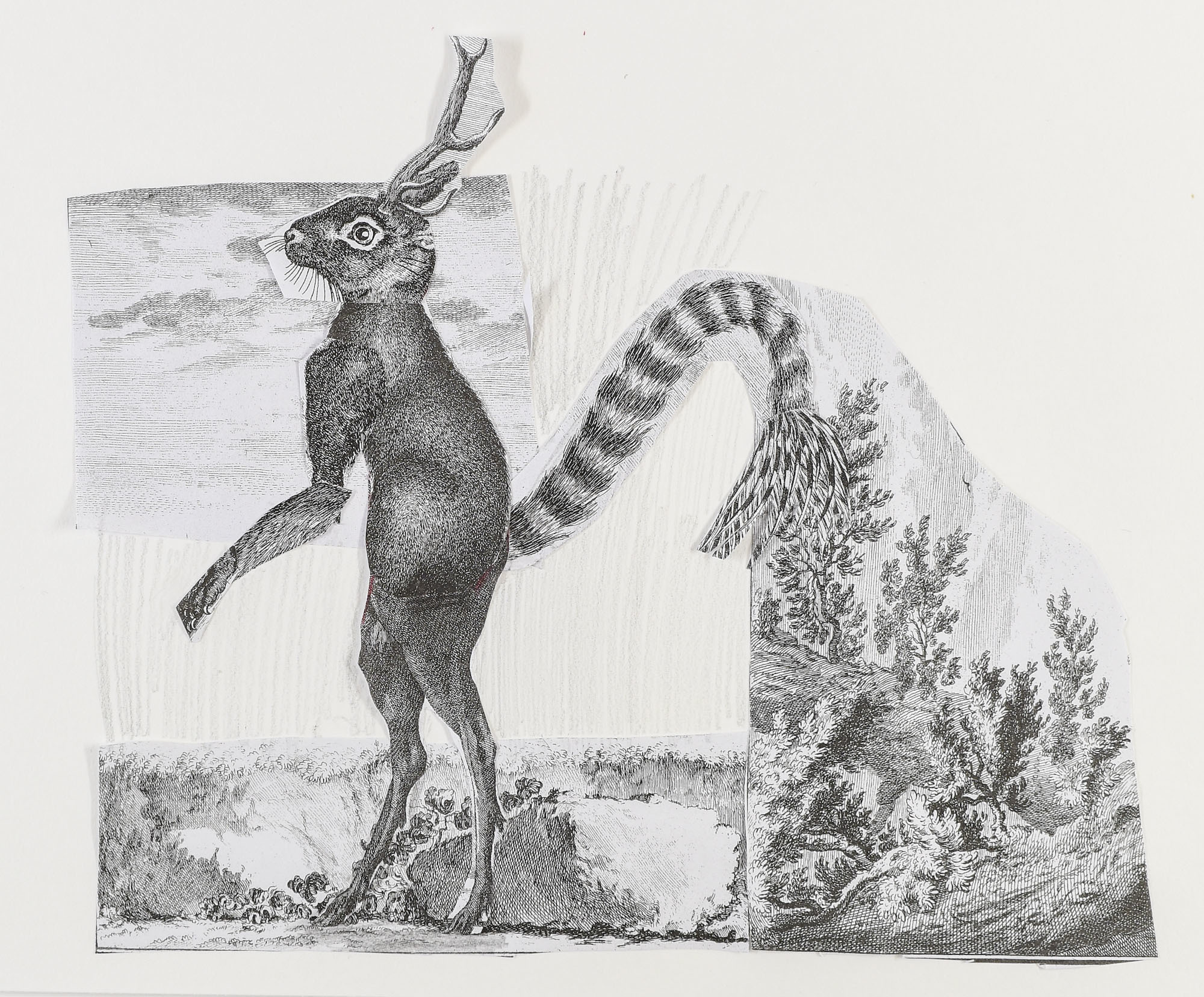 A student pencil drawing of a creature with a rabbit head and body and deer antlers with a lemur tail in a forest