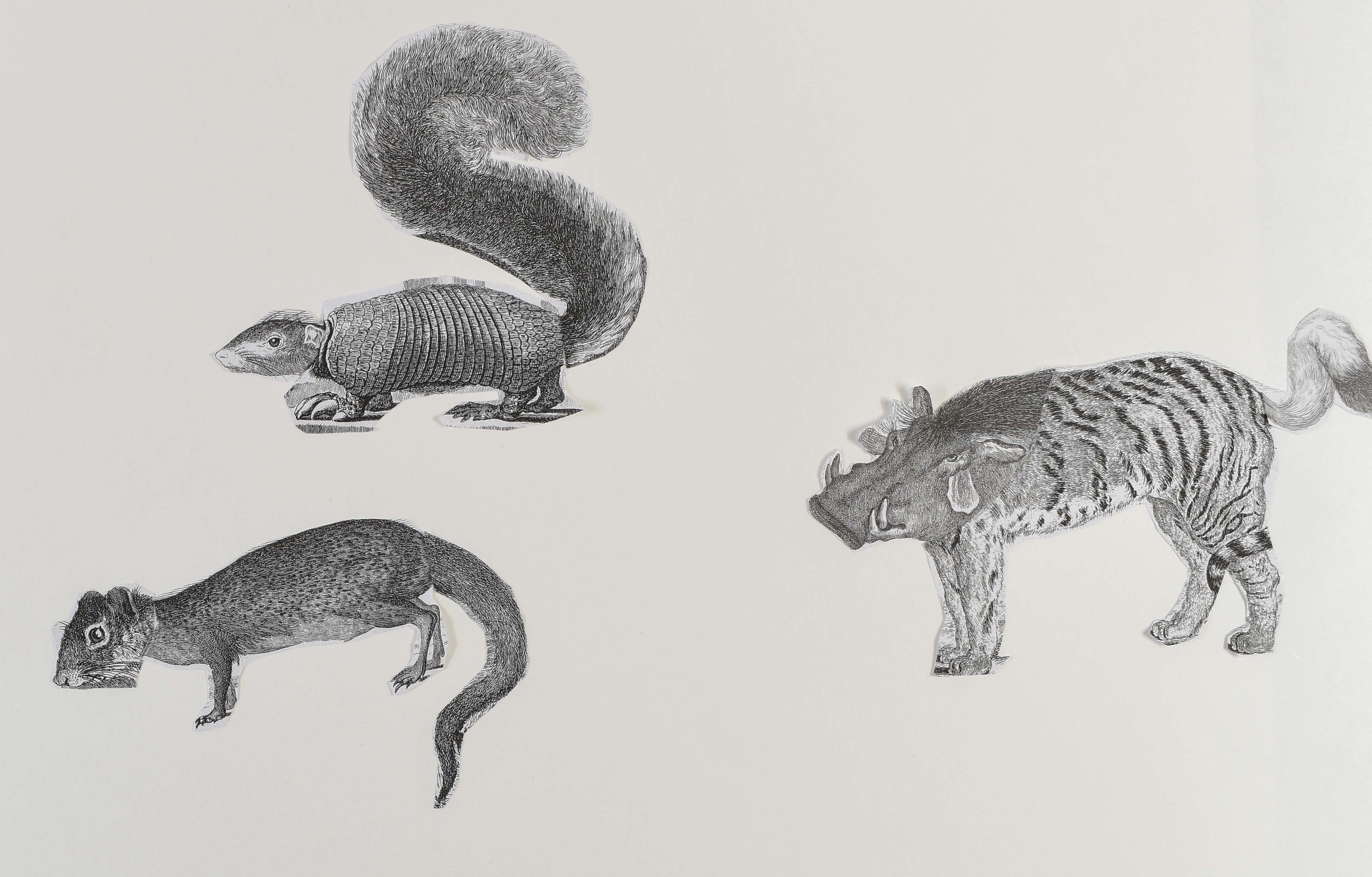 Student pencil drawing of three creatures, an anteater with a squirrel head and tail, a pig with a cat body and a rodent-like creature