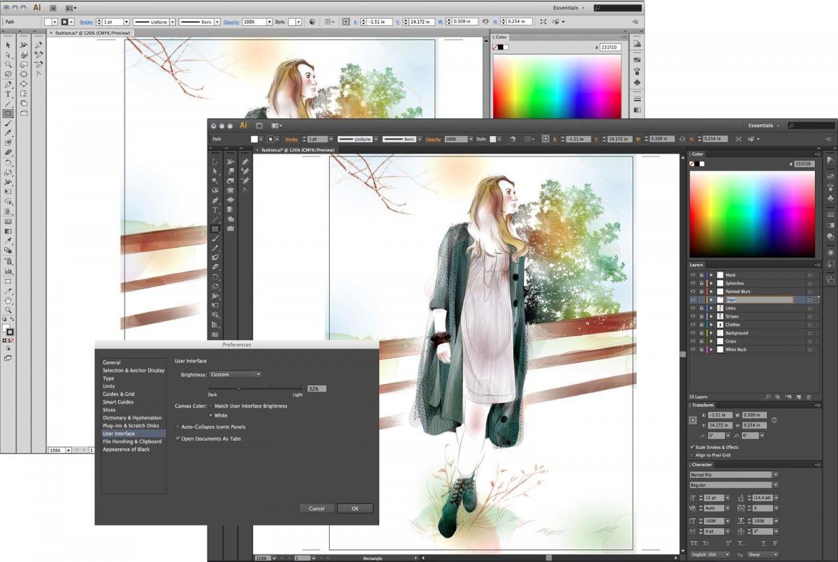 The Adobe Illustrator interface