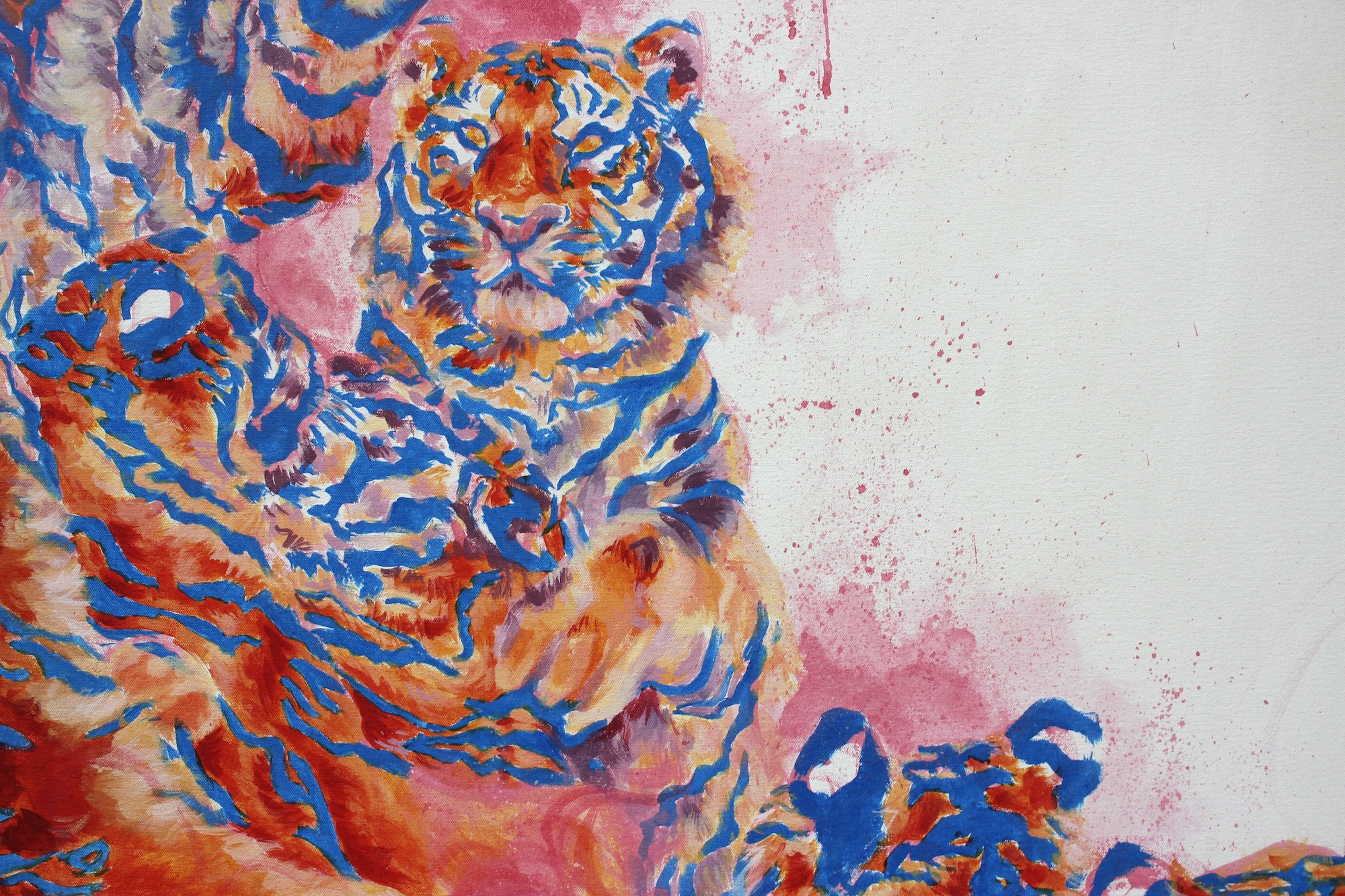 A colourful painted tiger portrait in blue, orange and pink on a white background, with the animal shown in close-up.