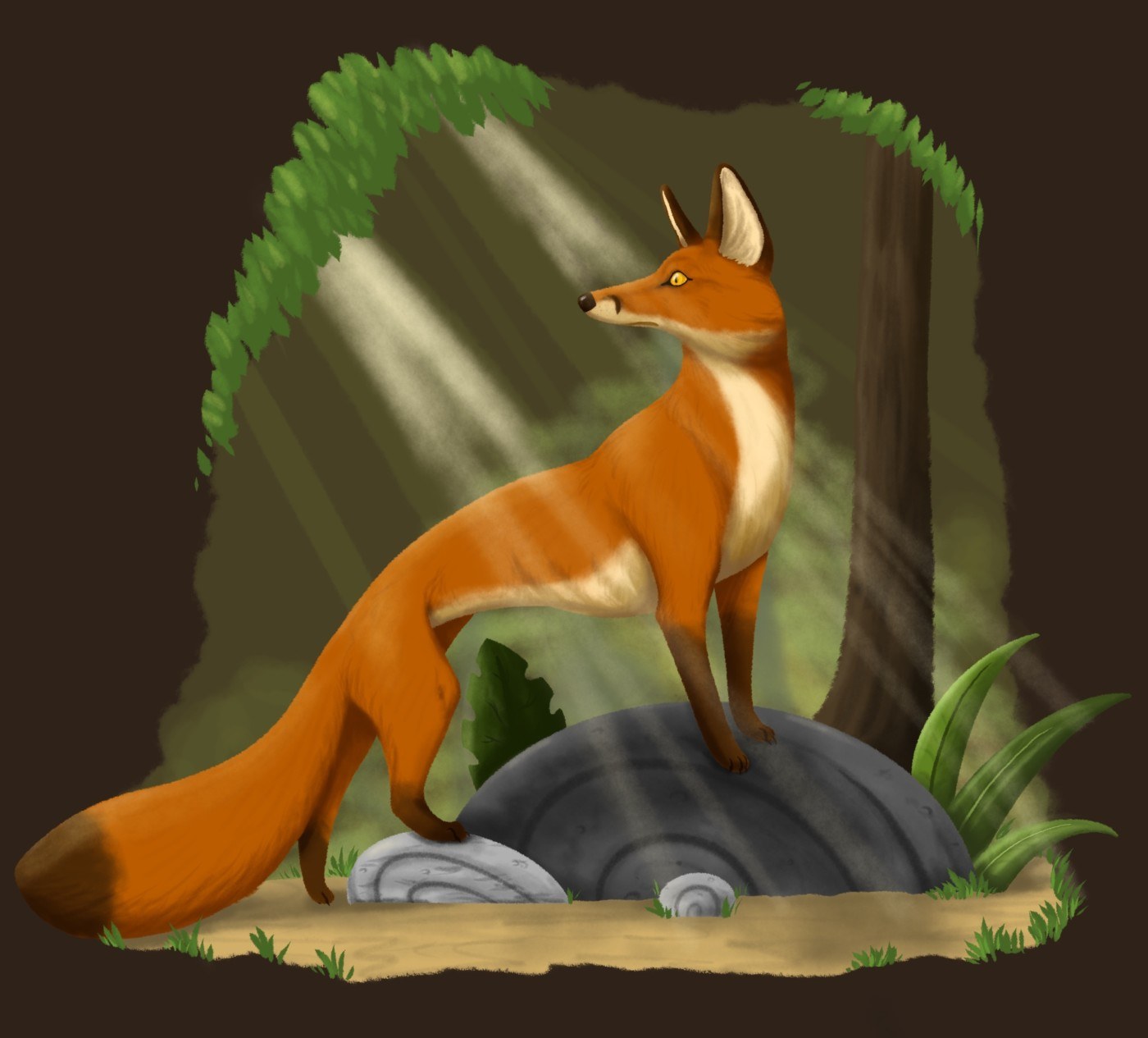 Illustration of a fox standing on a pair of rocks and looking behind it.