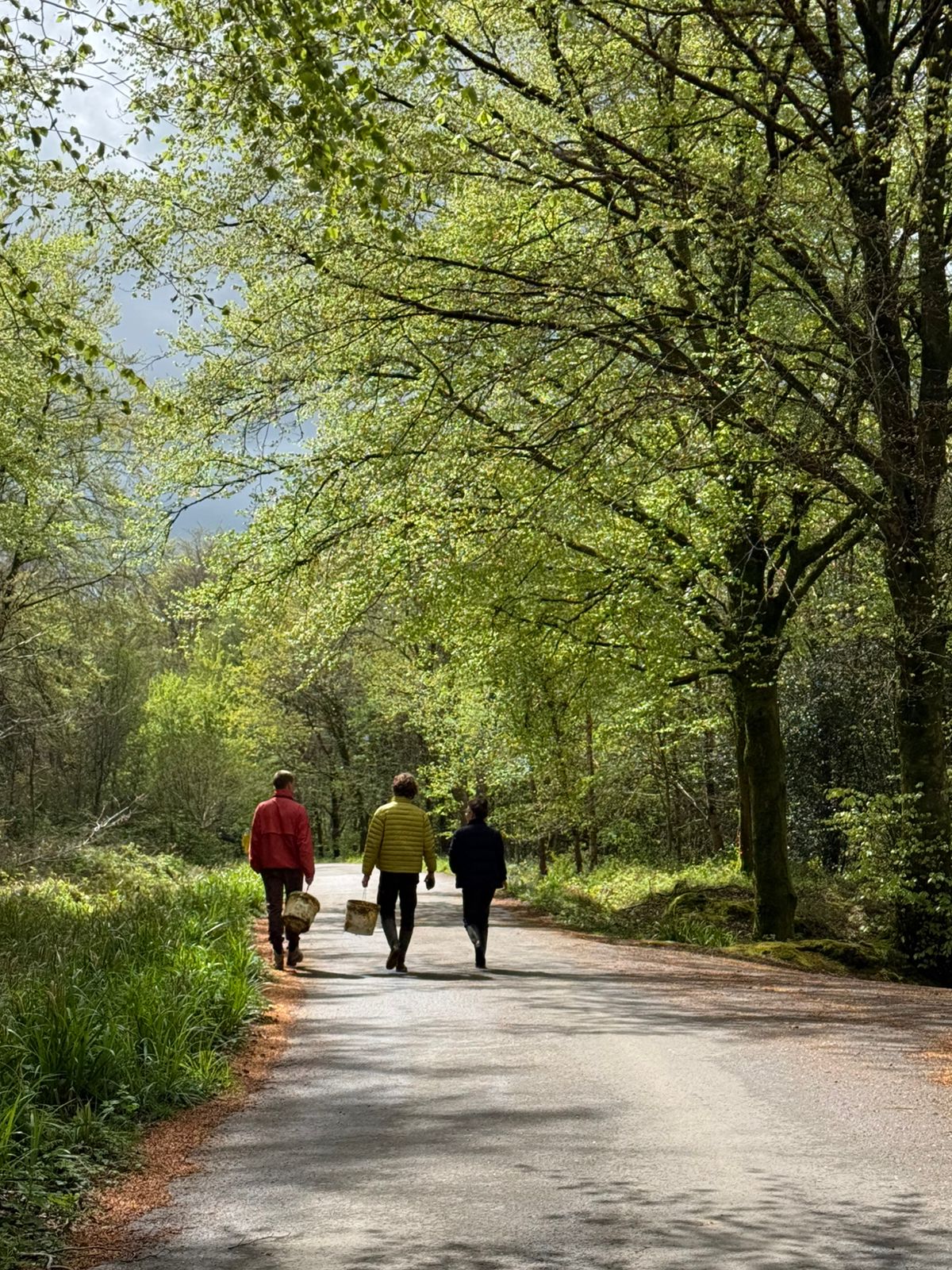 Three people walk along a tree-lined road carrying bags, with green grass and dense woodland on either side.