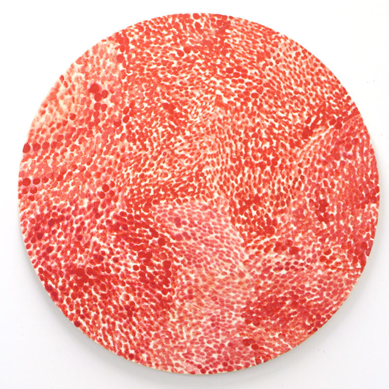 Abstract artwork on a circular canvas made up of red dots.