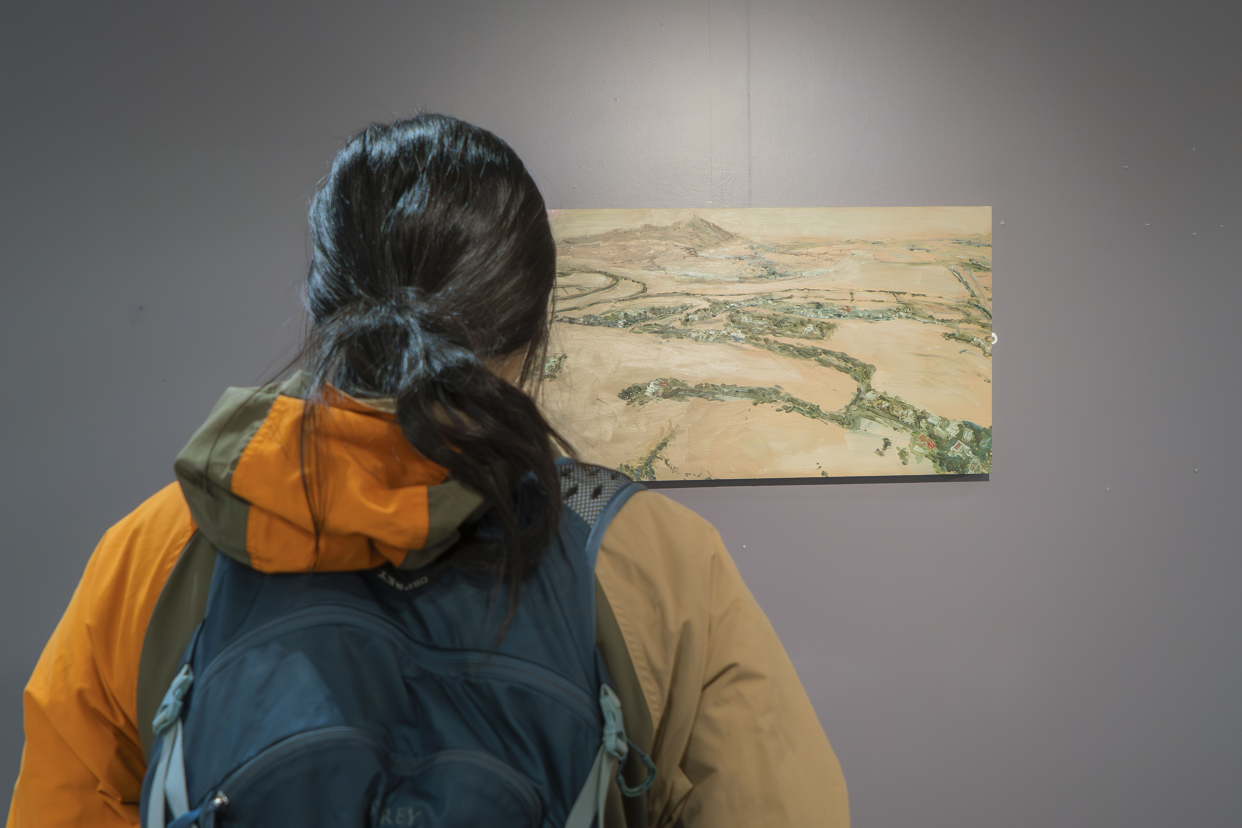 Person with their back to the camera wearing a yellow coat looking at artwork on a grey wall, bird's-eye view of countryside fields and trees.
