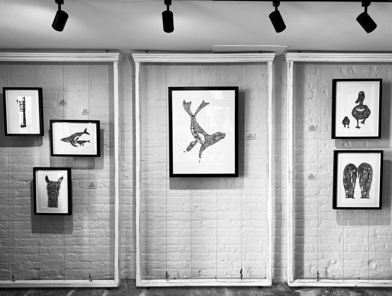 Framed works of Pia Elliot on display in a gallery, black and white shot.