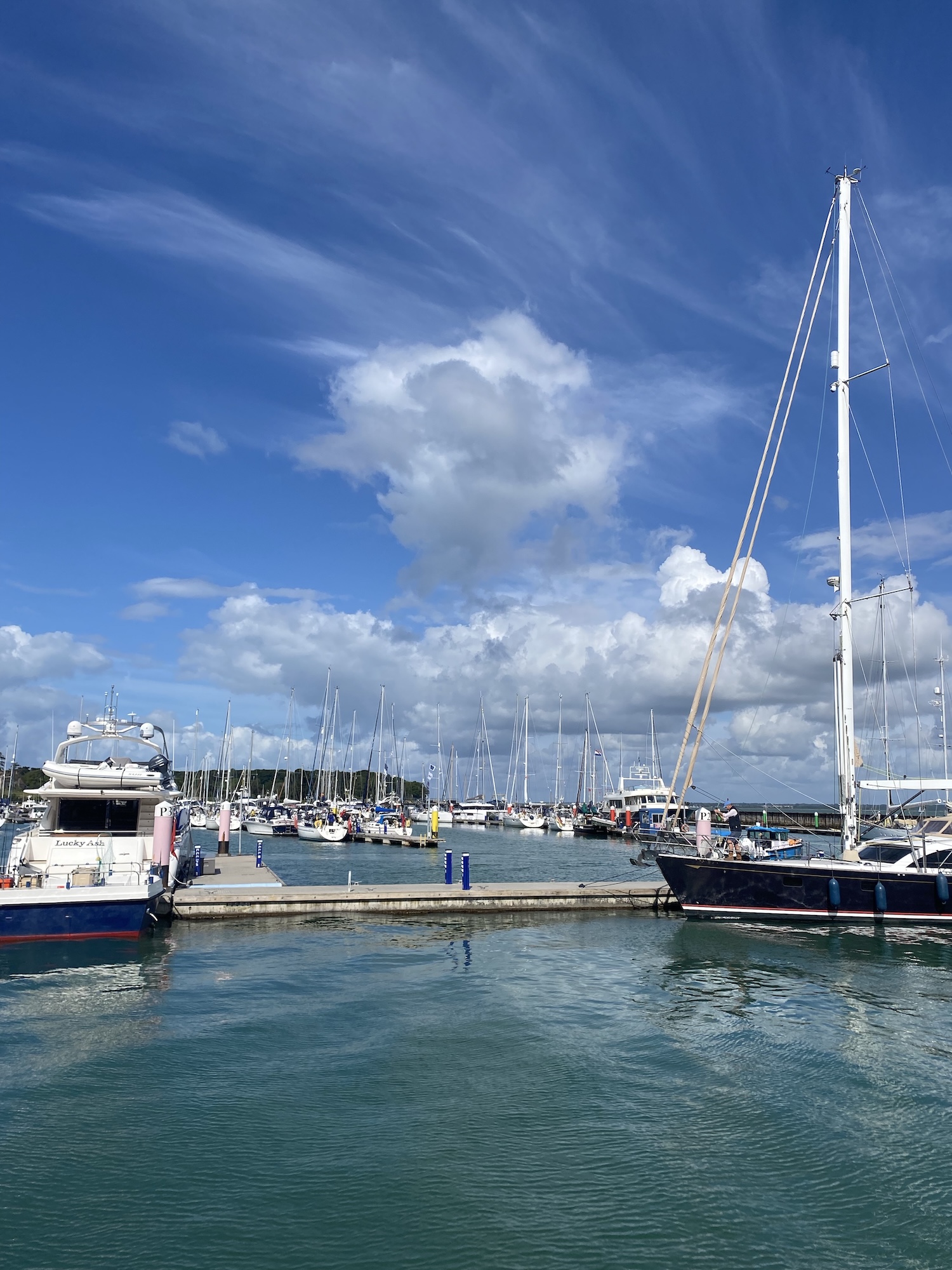Sailboats moored in a marina under a blue sky with scattered clouds, with calm water in the foreground and a pier across the middle.