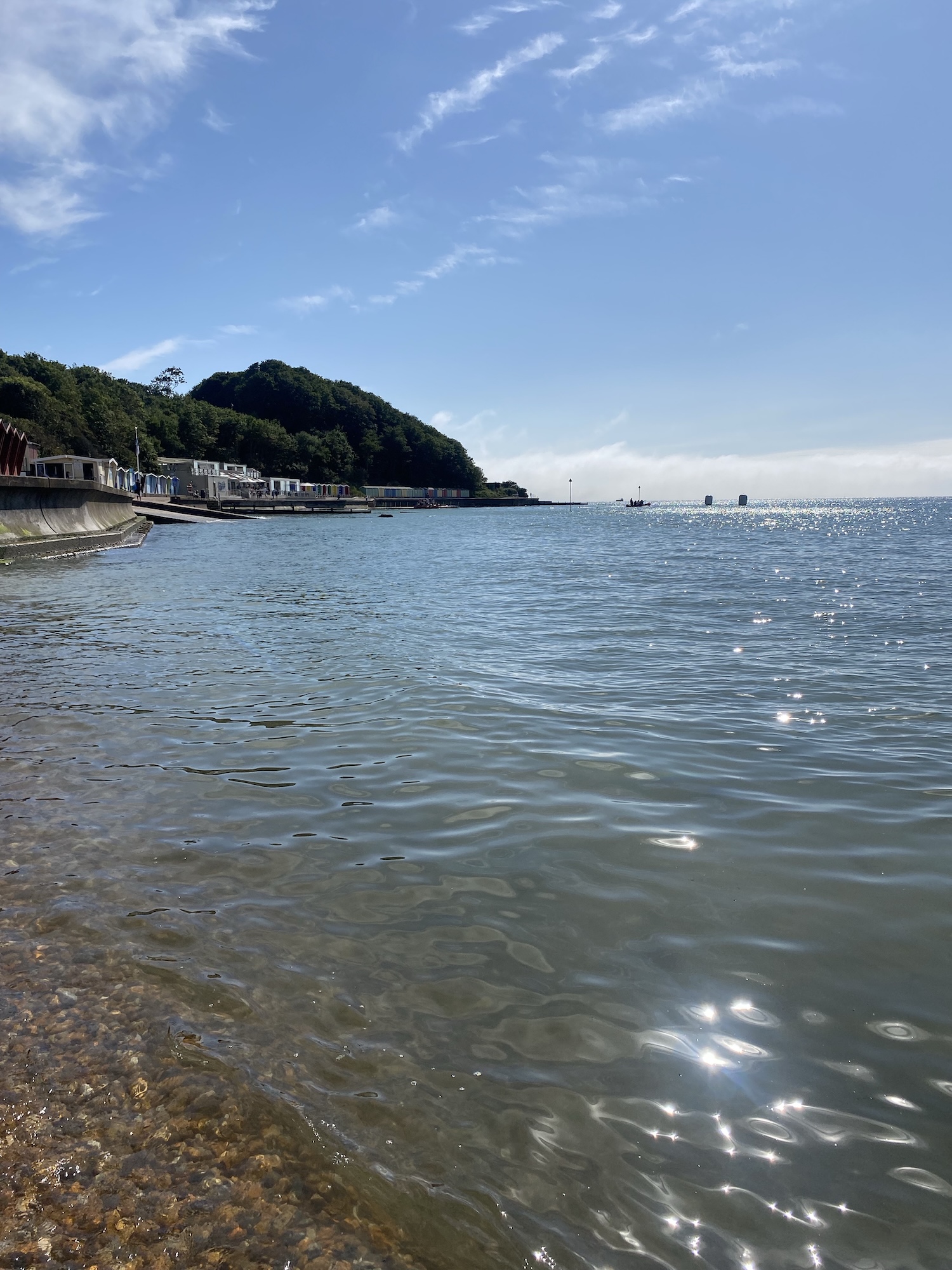 A calm sea with sunlight reflecting on the water, beside a tree-covered headland and a pebbled shoreline under a blue sky.