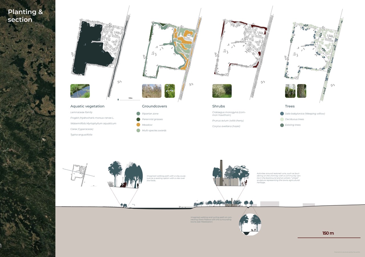 A detailed planting and section diagram featuring four sections illustrating different vegetation types: aquatic vegetation, groundcovers, shrubs, and trees. Each section includes colour-coded plant types and corresponding graphic representations. A scale of 100 m is indicated.