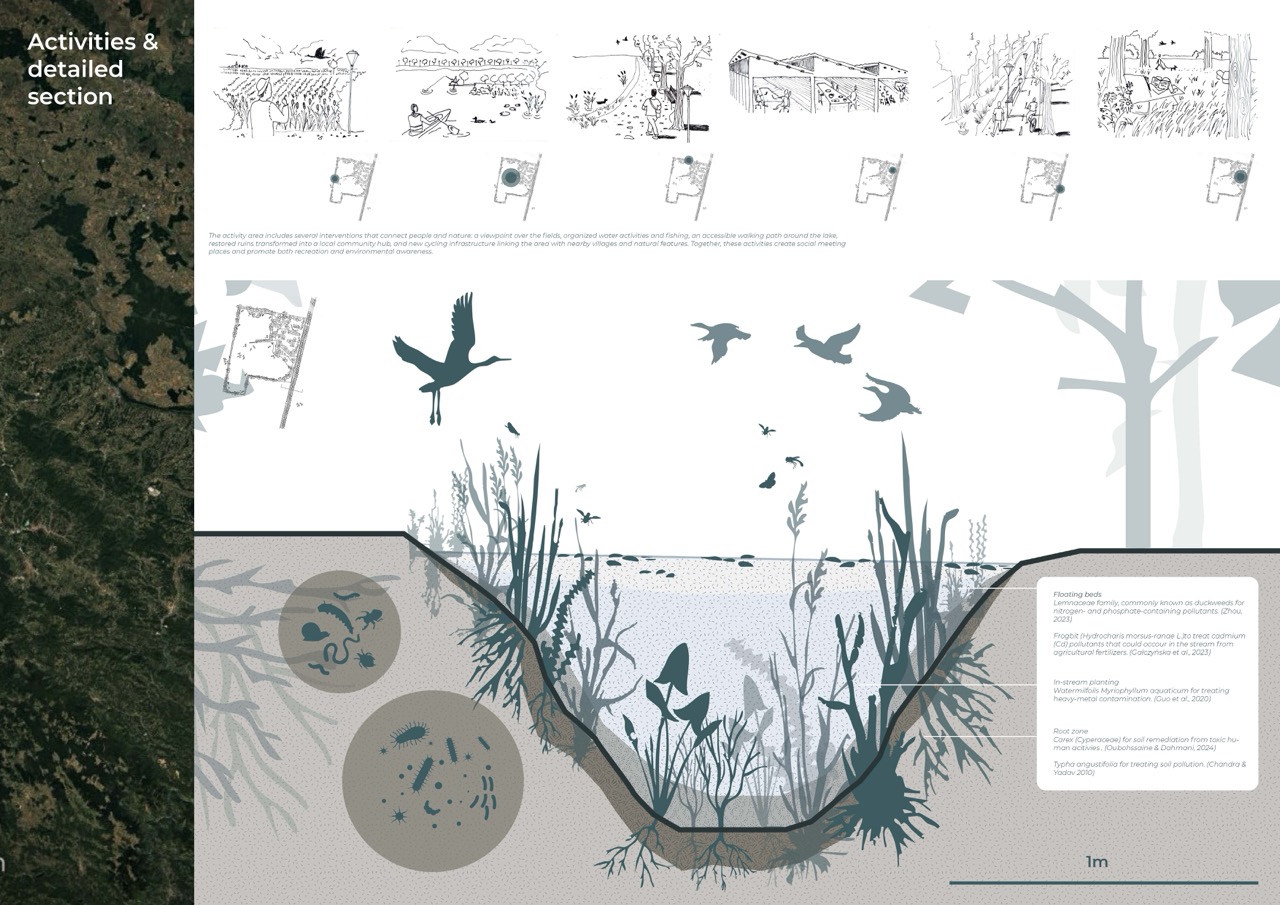 An illustrated layout depicting a natural landscape with plants, water bodies, and flying birds. The top section shows a series of sketches related to activities, while the lower section features a detailed cross-section of vegetation and wildlife, including submerged organisms.