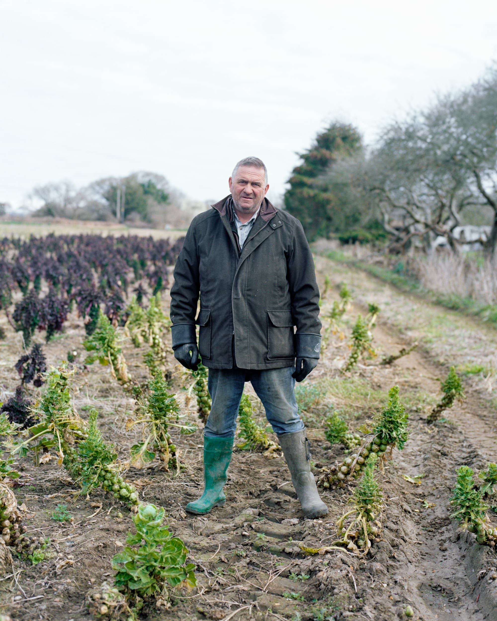 Man in dark coat and wellington boots standing in vegetable garden with rows of plants and bare soil, trees in background.