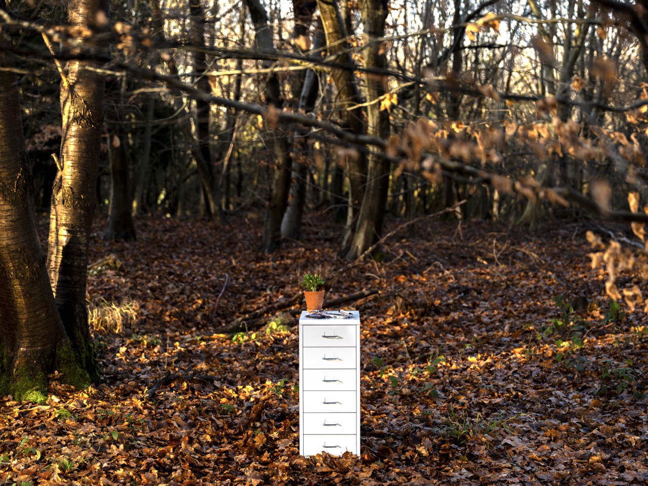 A white chest of drawers with six compartments is placed in a wooded area covered with brown leaves. A small potted plant sits on top of the chest, surrounded by trees and scattered twigs in the background.