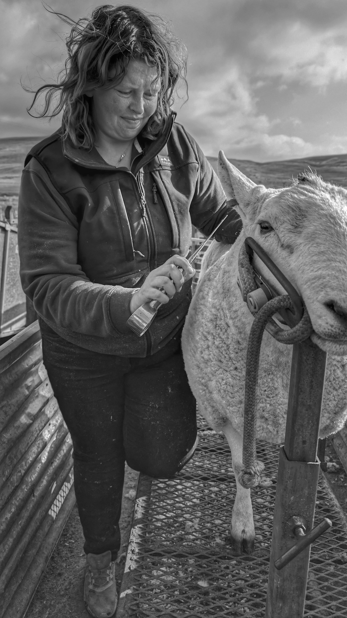 Black-and-white photo of a woman standing next to a sheep.