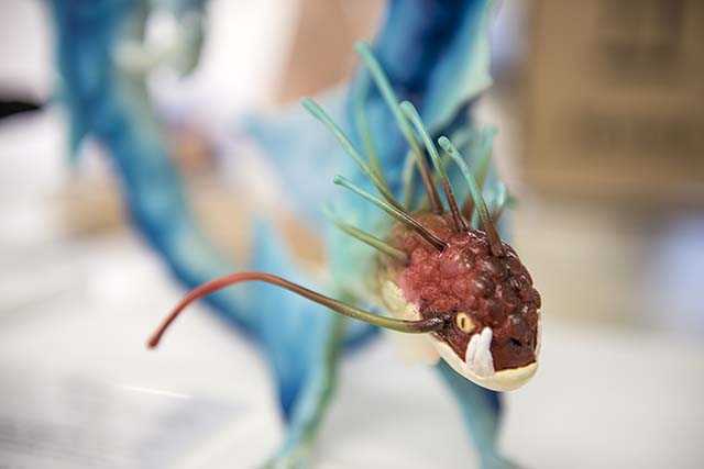 Close-up of a model of a fish with a long whisker and spines.