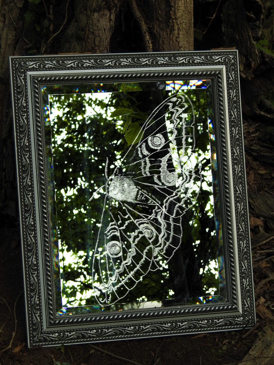An ornate framed mirror etched with a butterfly design hangs against a tree trunk, reflecting leafy branches and dappled light.