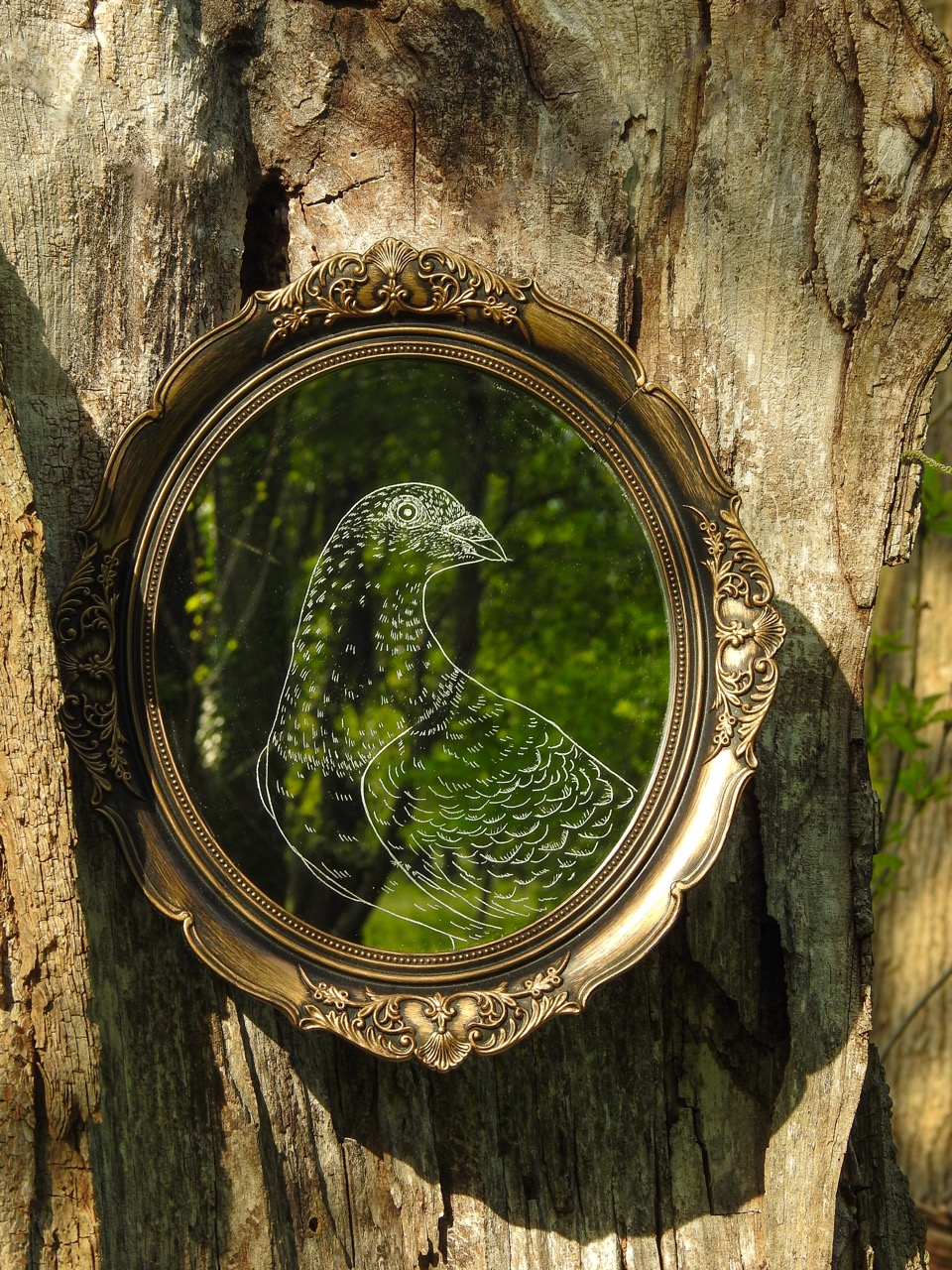 An ornate oval gold-framed mirror with etched bird artwork hangs on a weathered tree trunk, reflecting green foliage.