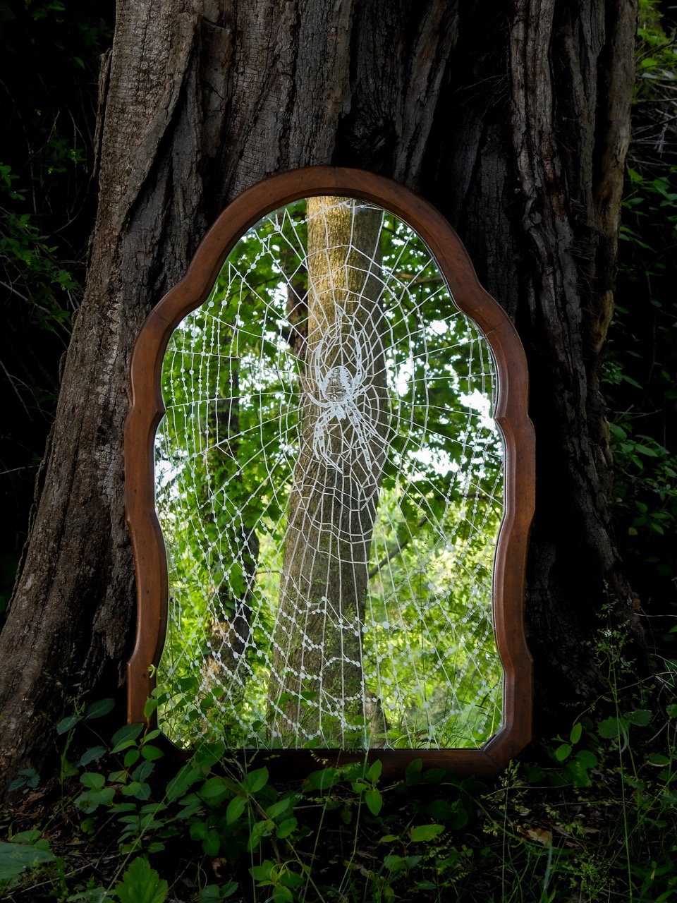 A wooden-framed mirror shaped like an arched window reflects trees and greenery, mounted against a large tree trunk with a lace web pattern across the glass.