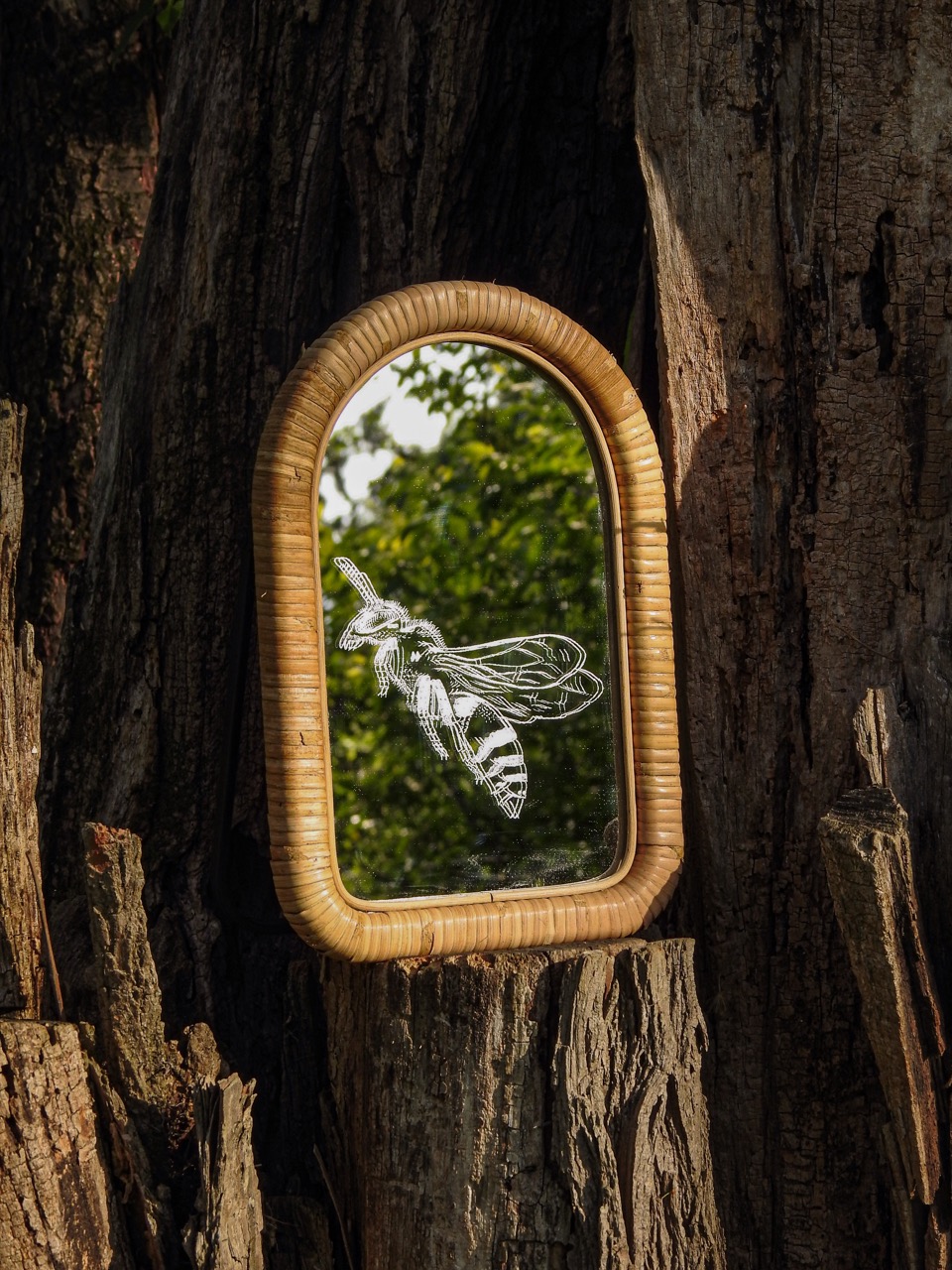 An oval mirror with a woven frame mounted in a tree trunk, reflecting greenery and a line drawing of a bee.