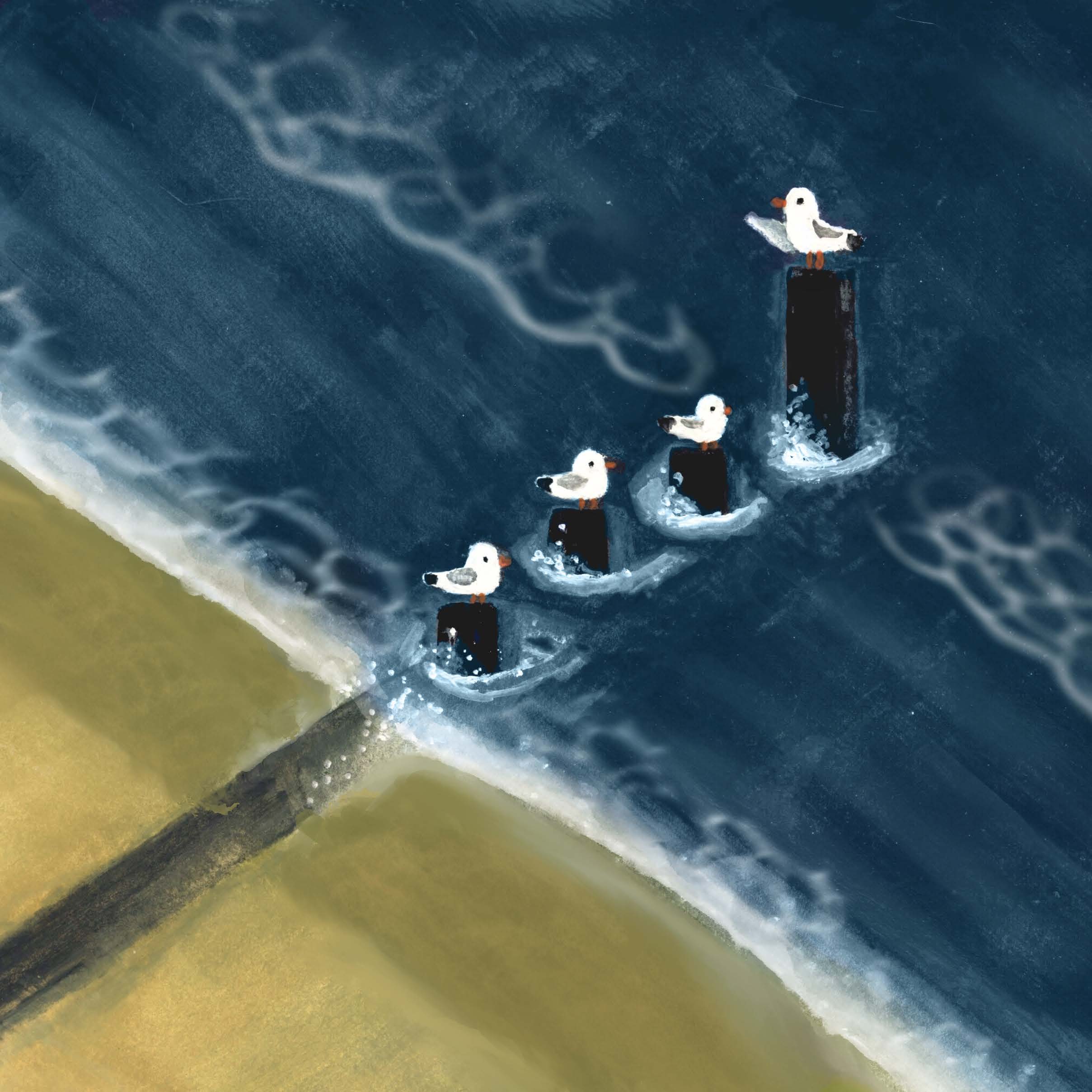 Four seagulls perched on dark wooden posts in choppy blue water, beside a yellow-green shoreline.