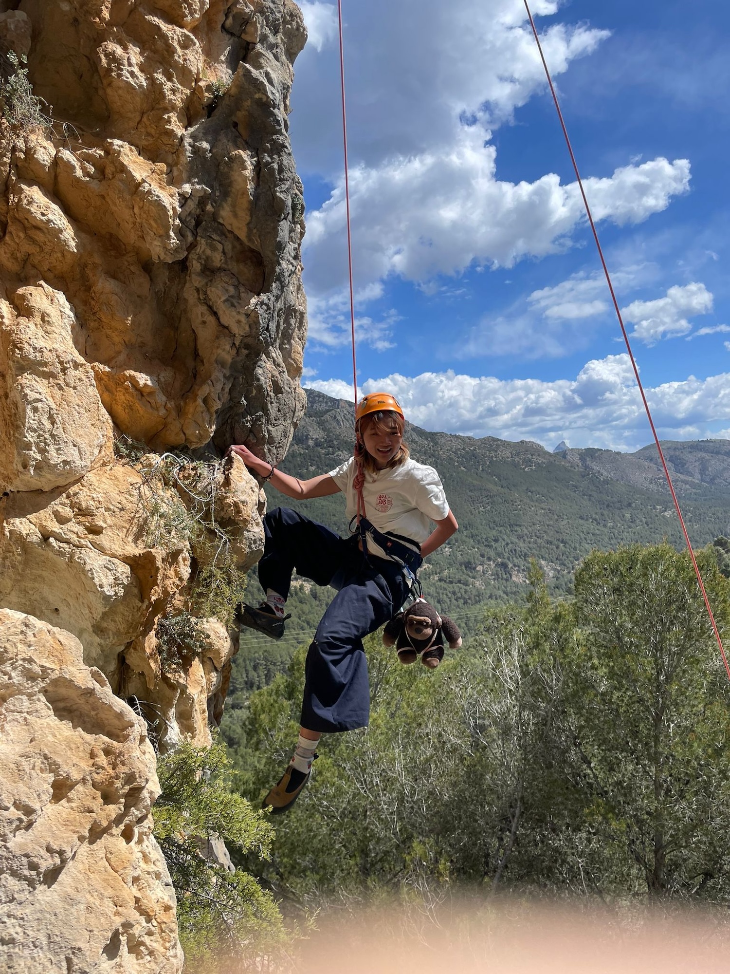 A climber in a helmet and harness is ascending a rocky cliff, with ropes hanging above and wooded mountains in the background under a blue sky.