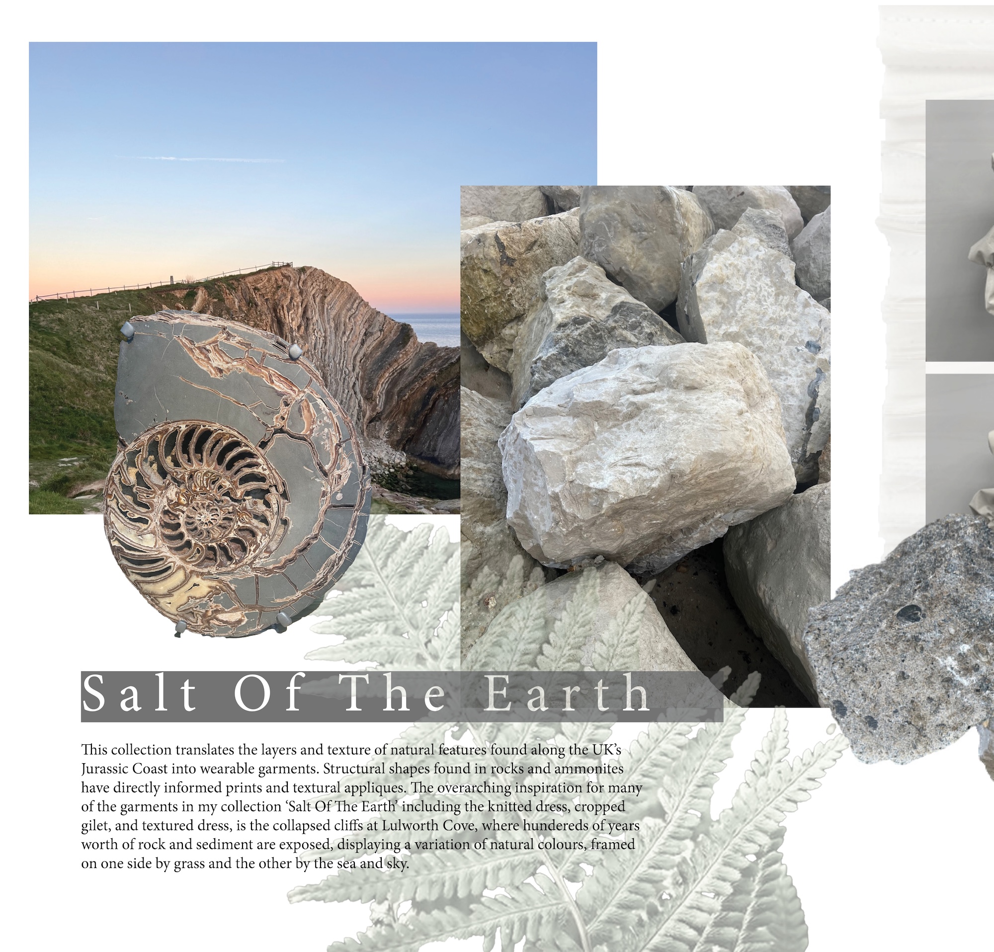 A collage of rocks, a fossil-like ammonite and a coastal cliff at sunset, with the title ‘Salt Of The Earth’ and fern leaves below.