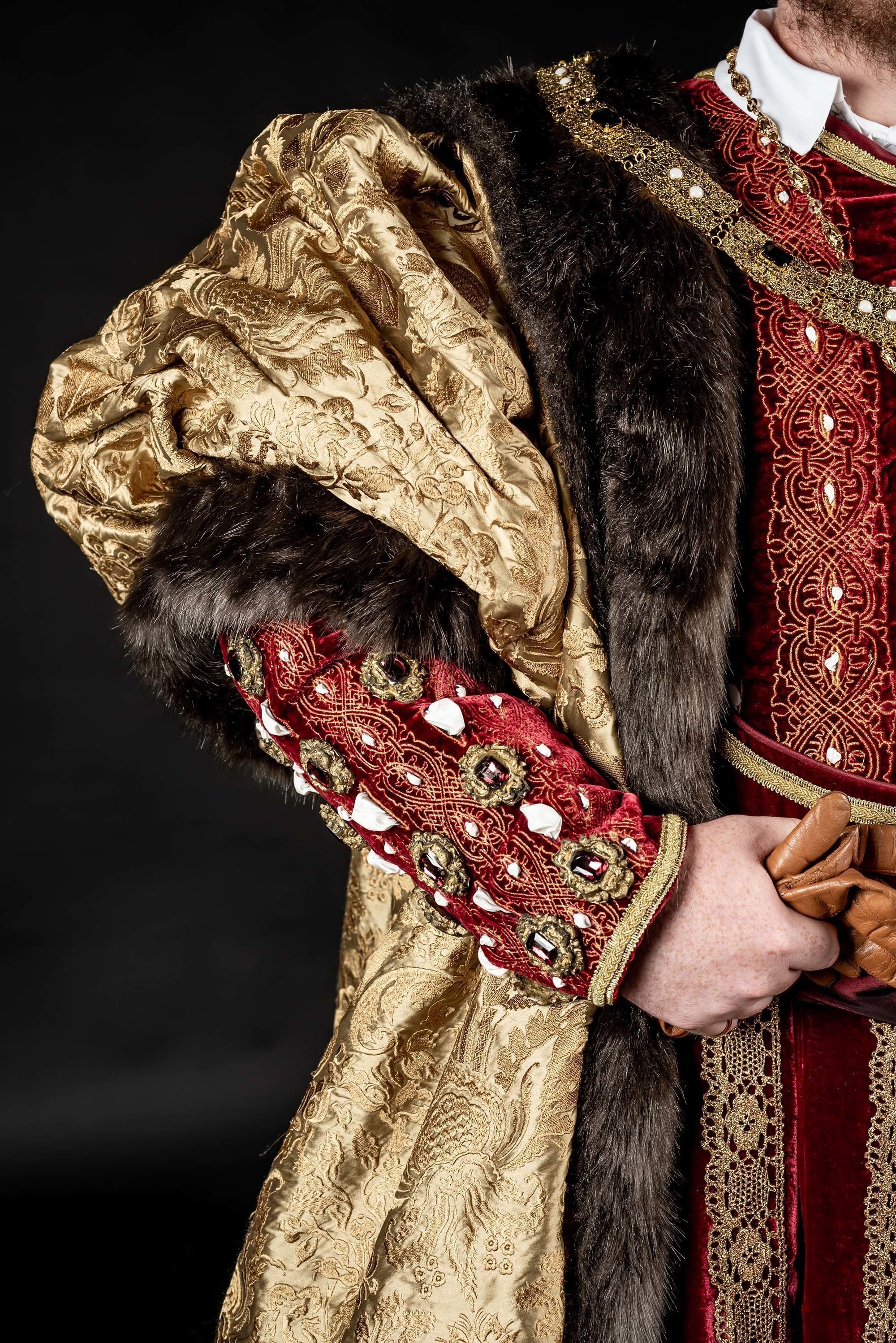 Close-up of a Henry VIII costume showing the right panel of the jacket and sleeve.