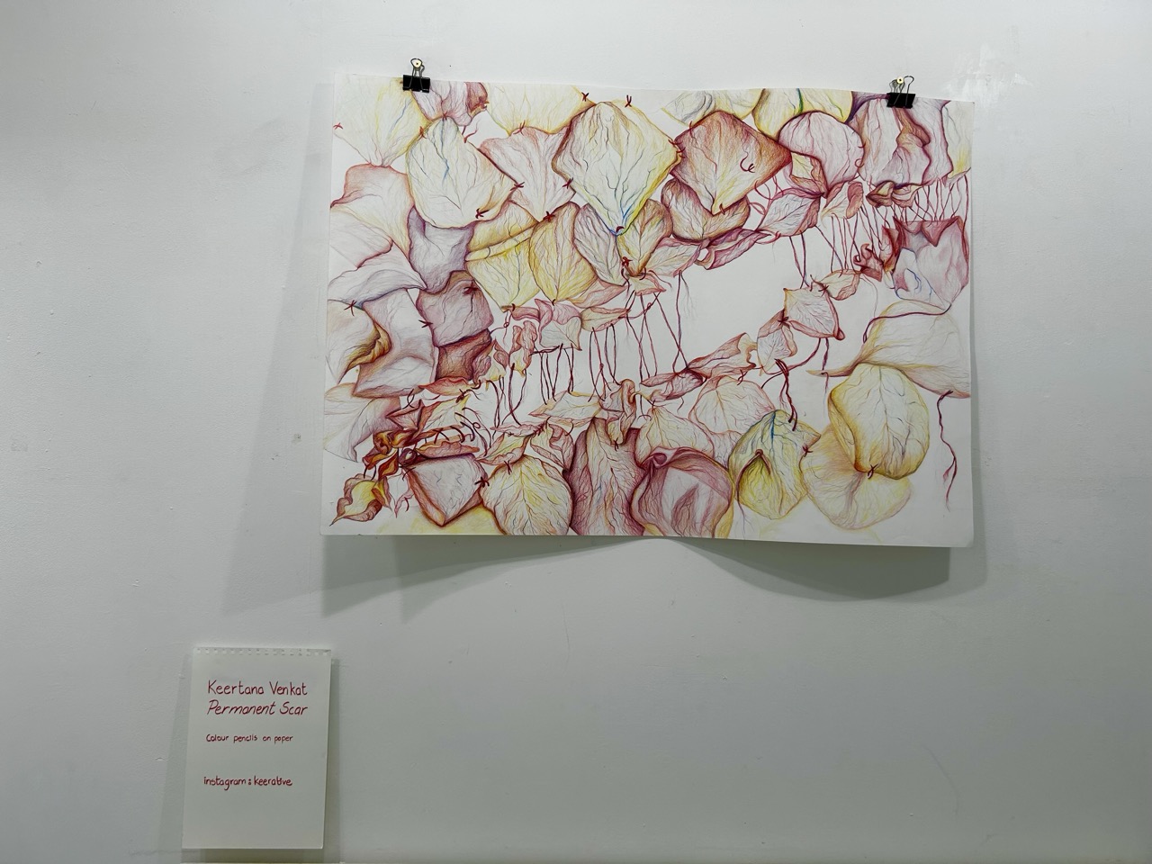 A pastel abstract floral drawing clipped to a white wall, with a small caption card displayed below it.