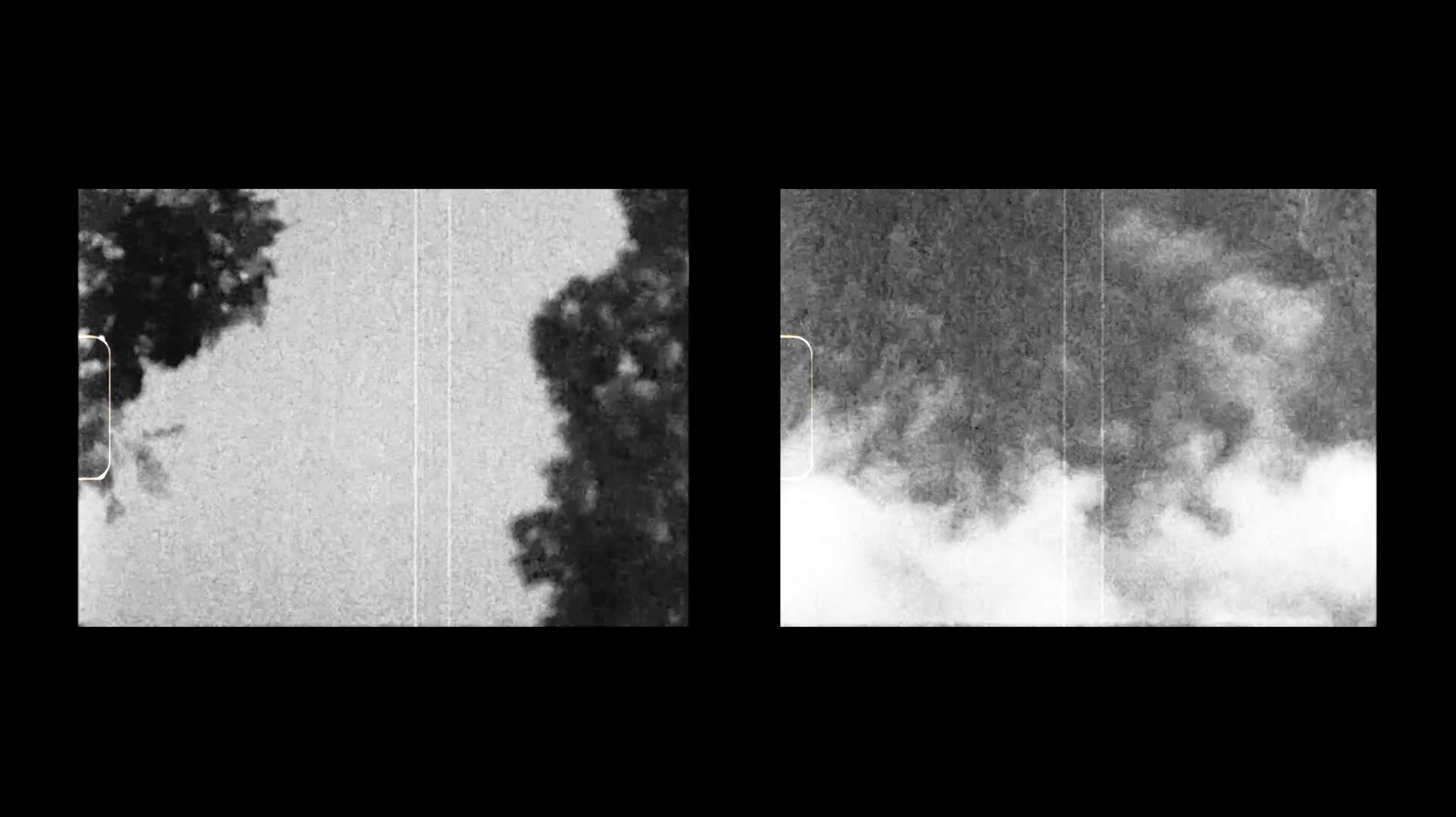 Two grayscale images side by side showing dark tree silhouettes against light sky with vertical scratches and film grain texture.