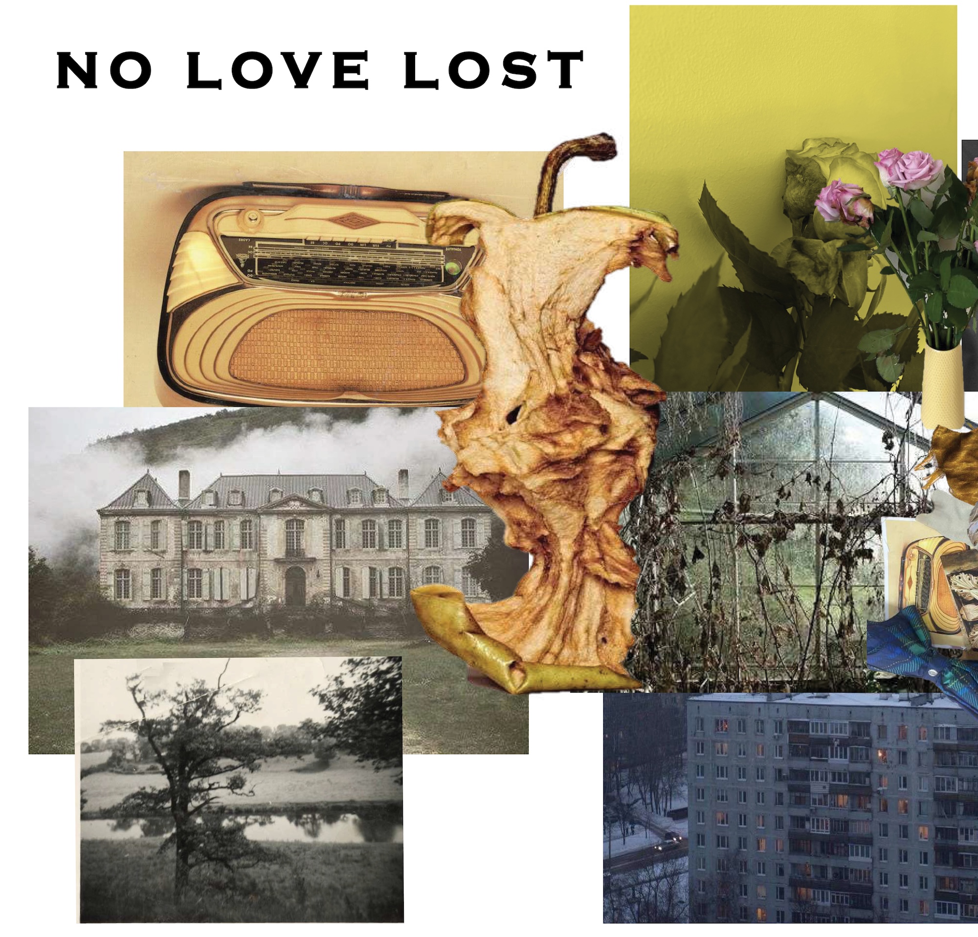 A collage titled “NO LOVE LOST” with a central dried plant or root overlapping an old radio, a vase of flowers, a mansion, trees and apartment blocks.