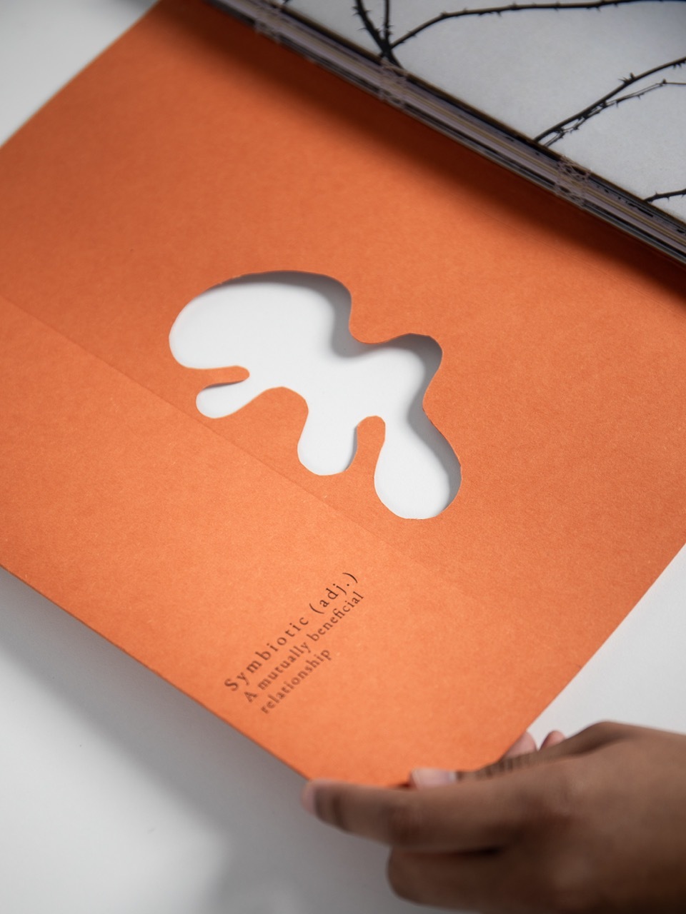 Orange book or card with white irregular organic shape cut-out, held by hand against white surface with black branches visible above.