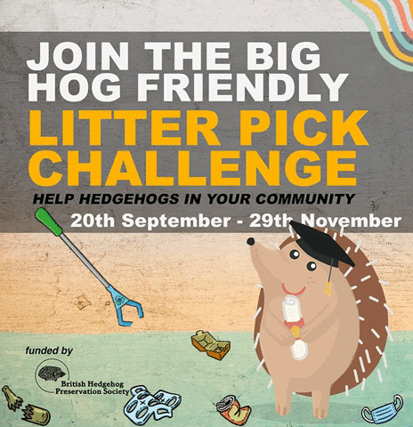 Poster of an illustrated hedgehog surrounded by litter and a litter picker. The text reads: Join the big hog friendly litter pick challenge