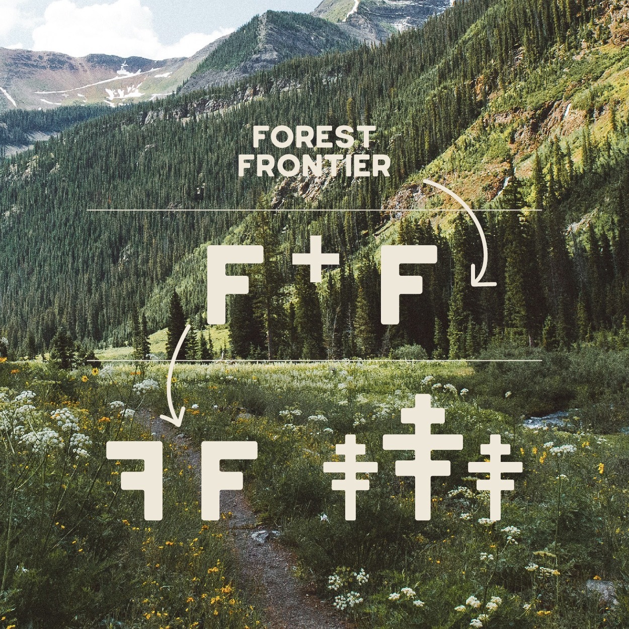 Film-style photo of a forest with white text reading 'forest frontier' and small graphic logo work.