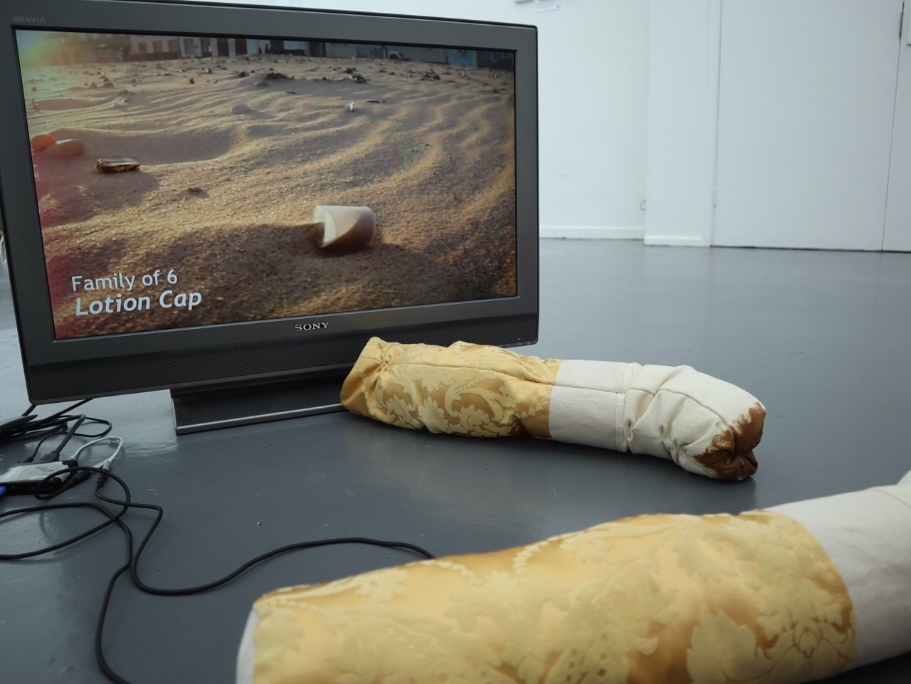 A flat-screen television displays a still image of sandy terrain with the text "Family of 6 Lotion Cap". In front of the TV, two long, decorative pillows with a golden pattern are placed on the floor.