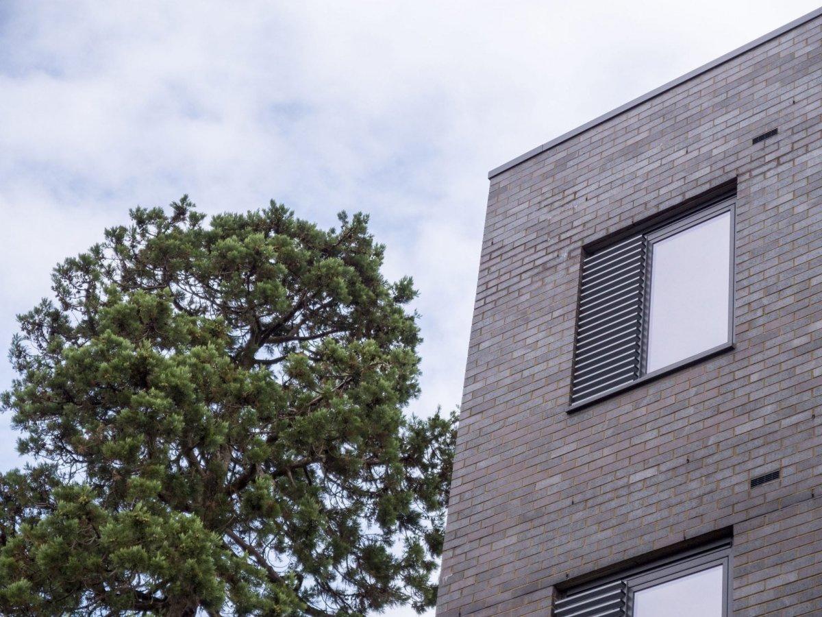 Abstract view of the Madeira Road building