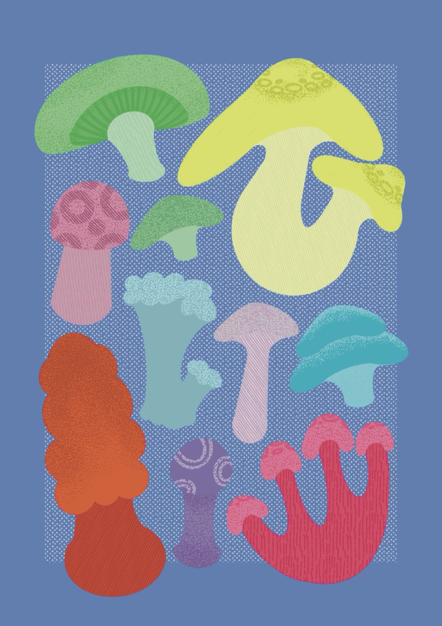 A colourful abstract illustration of assorted mushrooms in green, yellow, pink, blue and red on a blue background.
