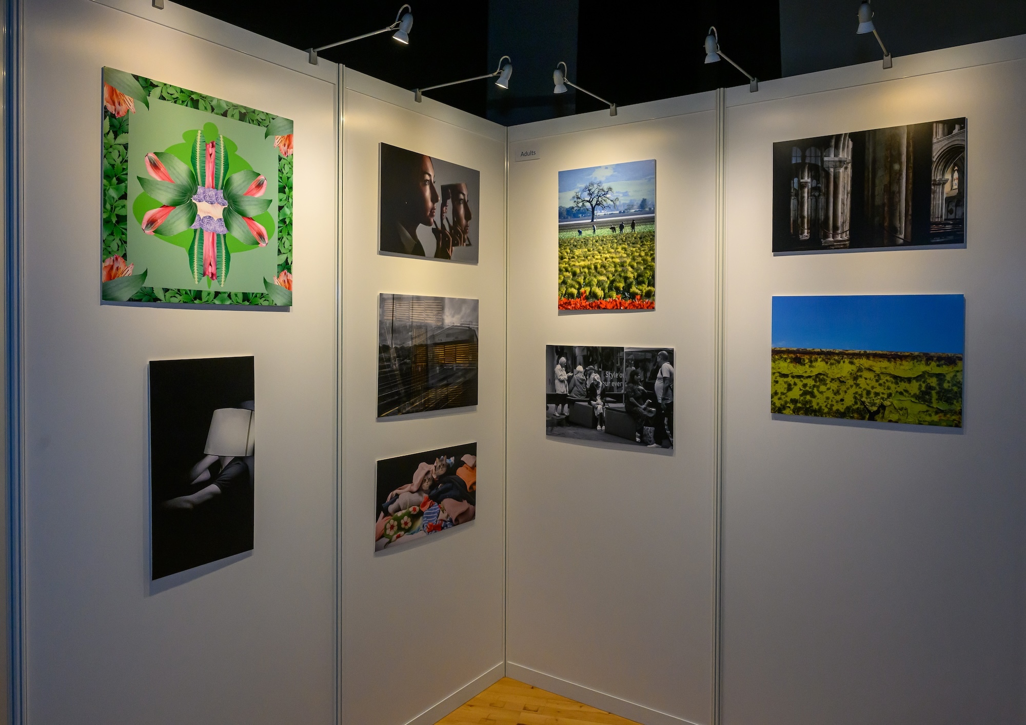 A corner display of nine assorted photographs on display at an exhibition event.