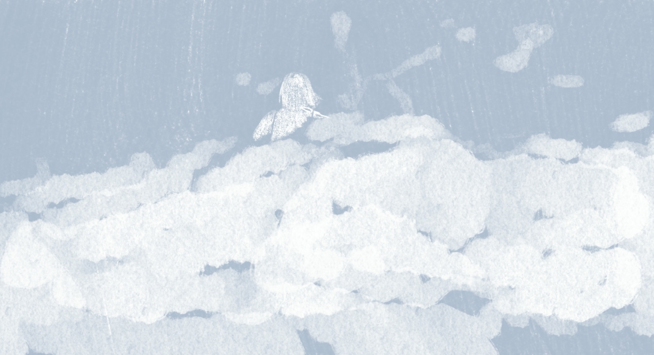 Person in winter clothing standing on snowy mountain peak against grey cloudy sky.