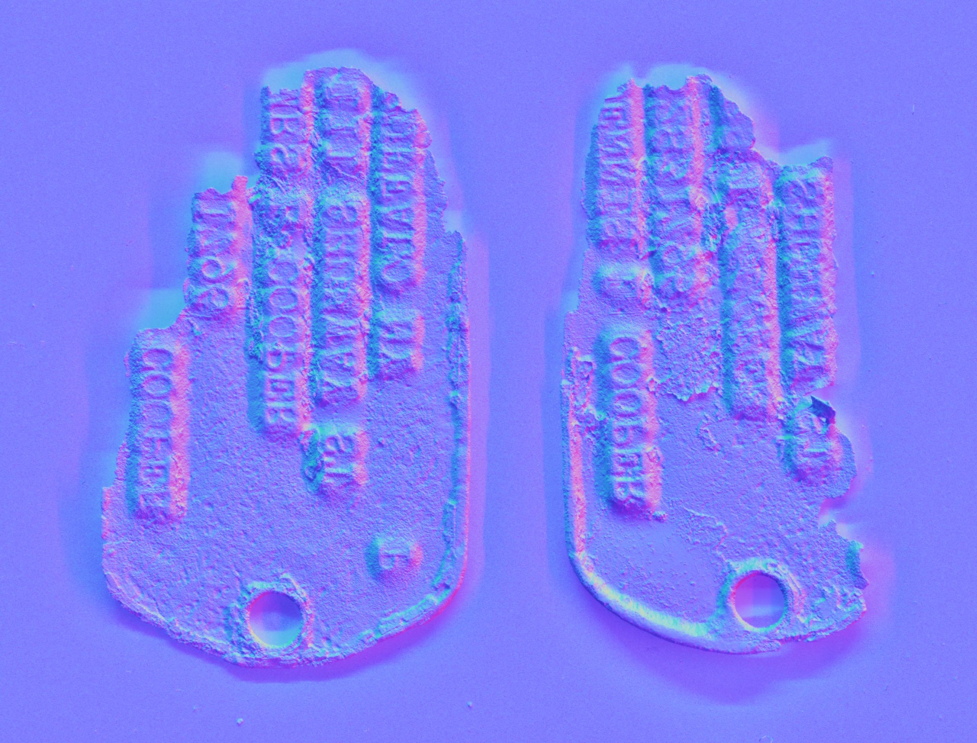 Two purple embossed dog tags on a violet background, each with a small hole near the bottom.