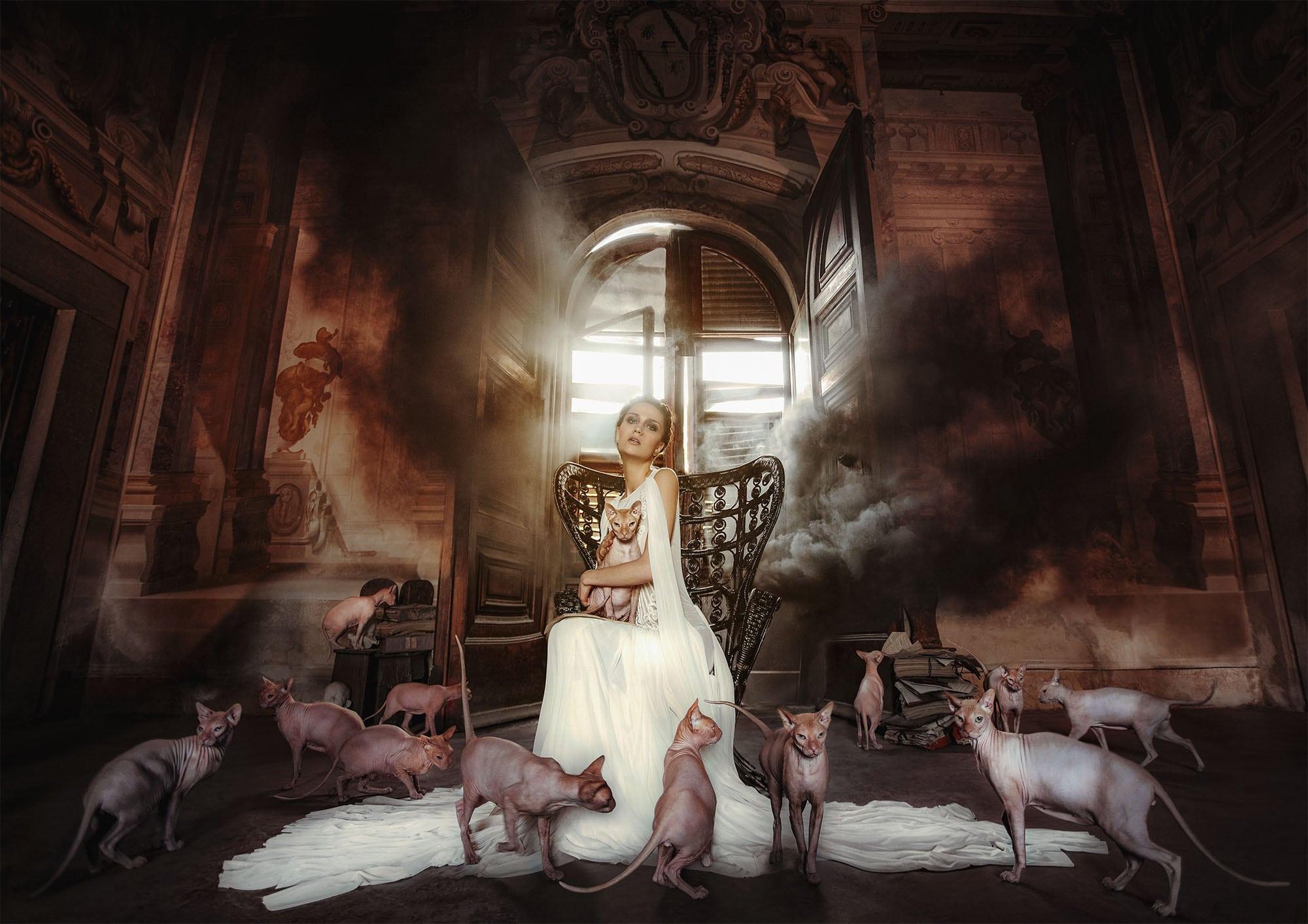 Lady in white sits on a high-backed chair with smoke behind her, surrounded by several sphinx cats.