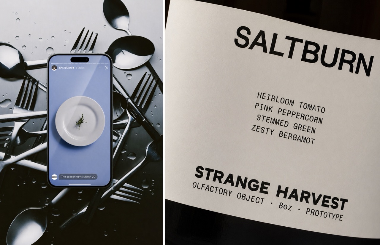 An overhead image showing a smartphone displaying a dish on a white plate with a drizzle of sauce, on the left, and a menu card titled "SALT BURN" on the right, listing ingredients such as heirloom tomato and pink peppercorn.