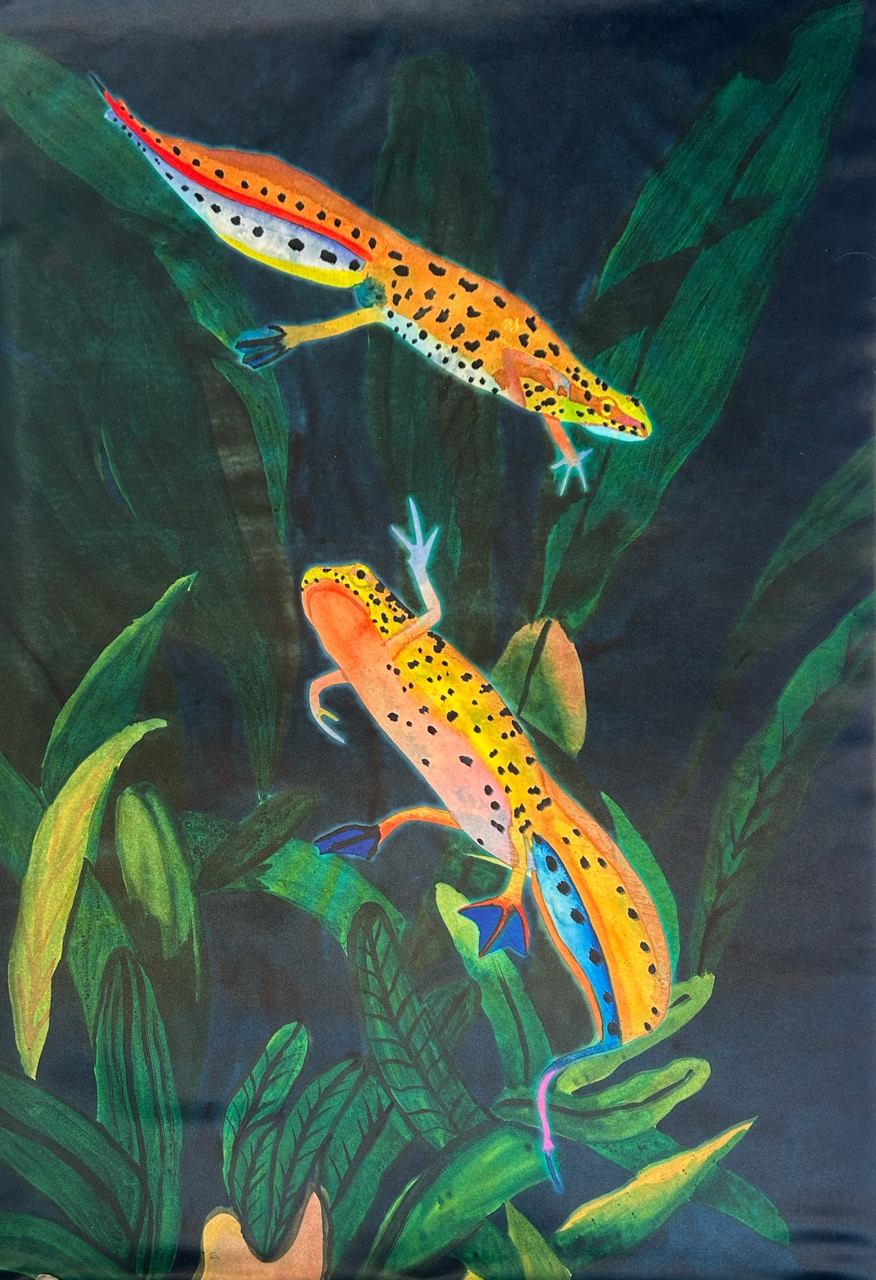 A colourful illustration featuring two salamanders, one orange with black spots and the other pinkish with blue spots, positioned among green leaves against a dark background. The salamanders are depicted in a dynamic pose, seemingly interacting with each other.
