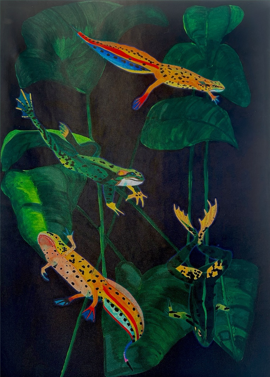 Four brightly coloured lizards with unique patterns are depicted among large green leaves. The lizards exhibit a variety of colours including orange, yellow, and green, positioned against a dark background that highlights their vibrant hues.