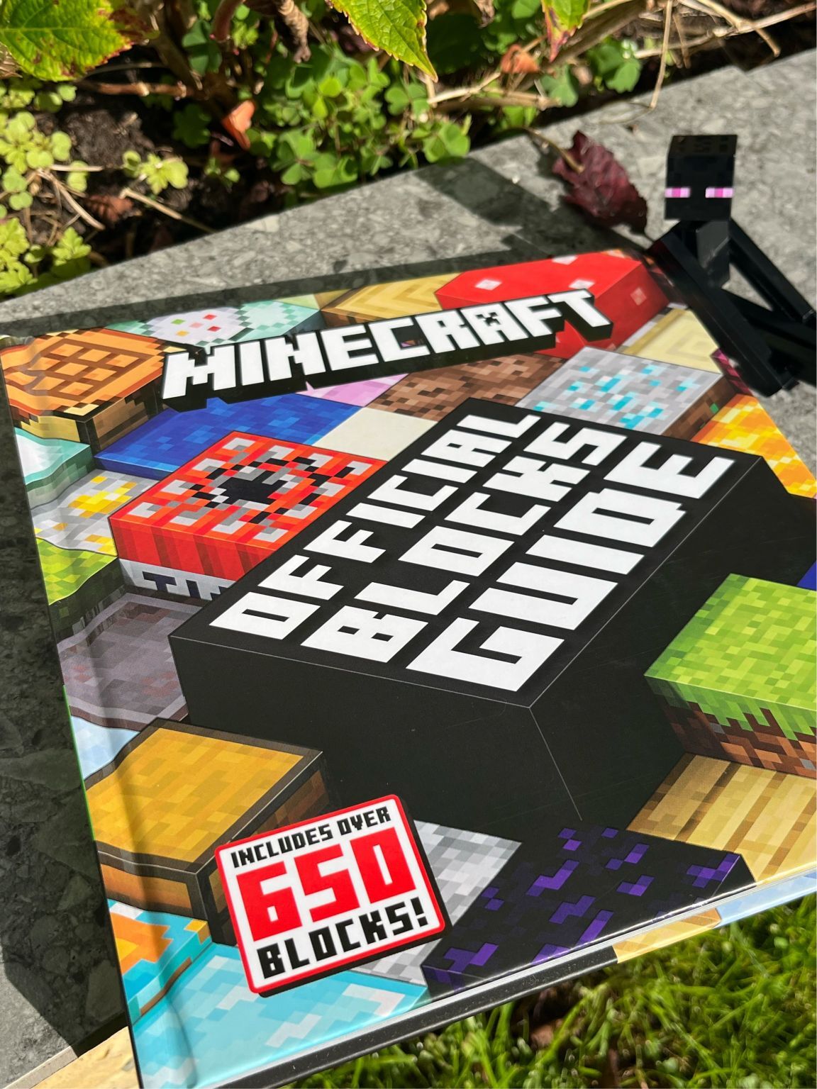Minecraft Official Block Guide book cover on concrete surface with green plants, featuring colourful pixelated blocks and black Enderman figure.