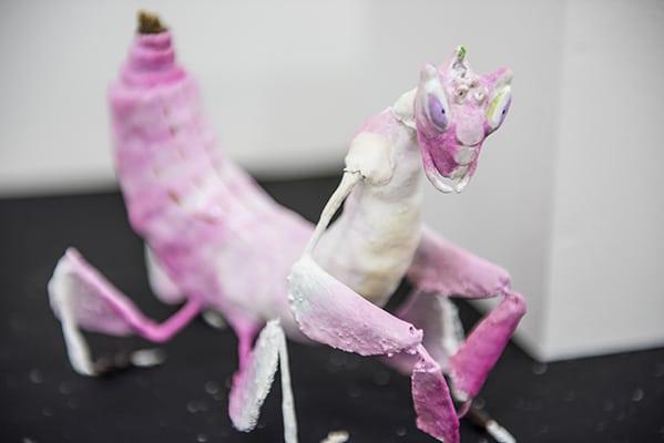 Molly Mayhew's Night at the Circus project