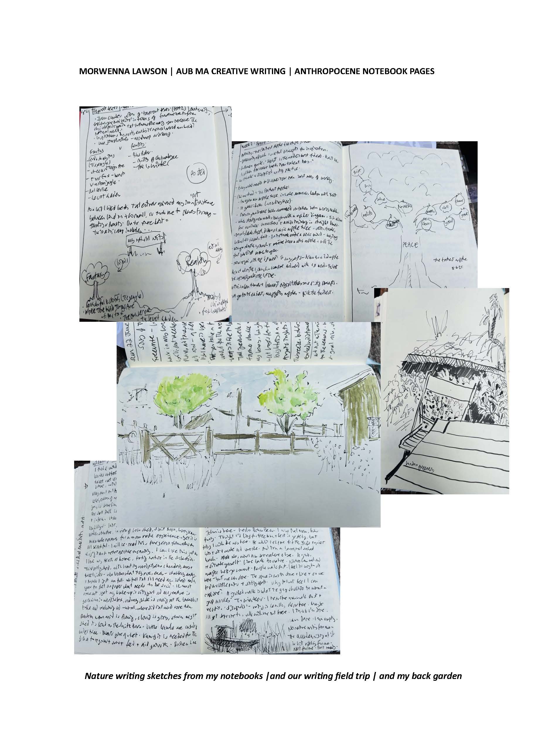 A collage of handwritten notebook pages and loose sketches, including trees, buildings and a bridge, arranged on a white background.